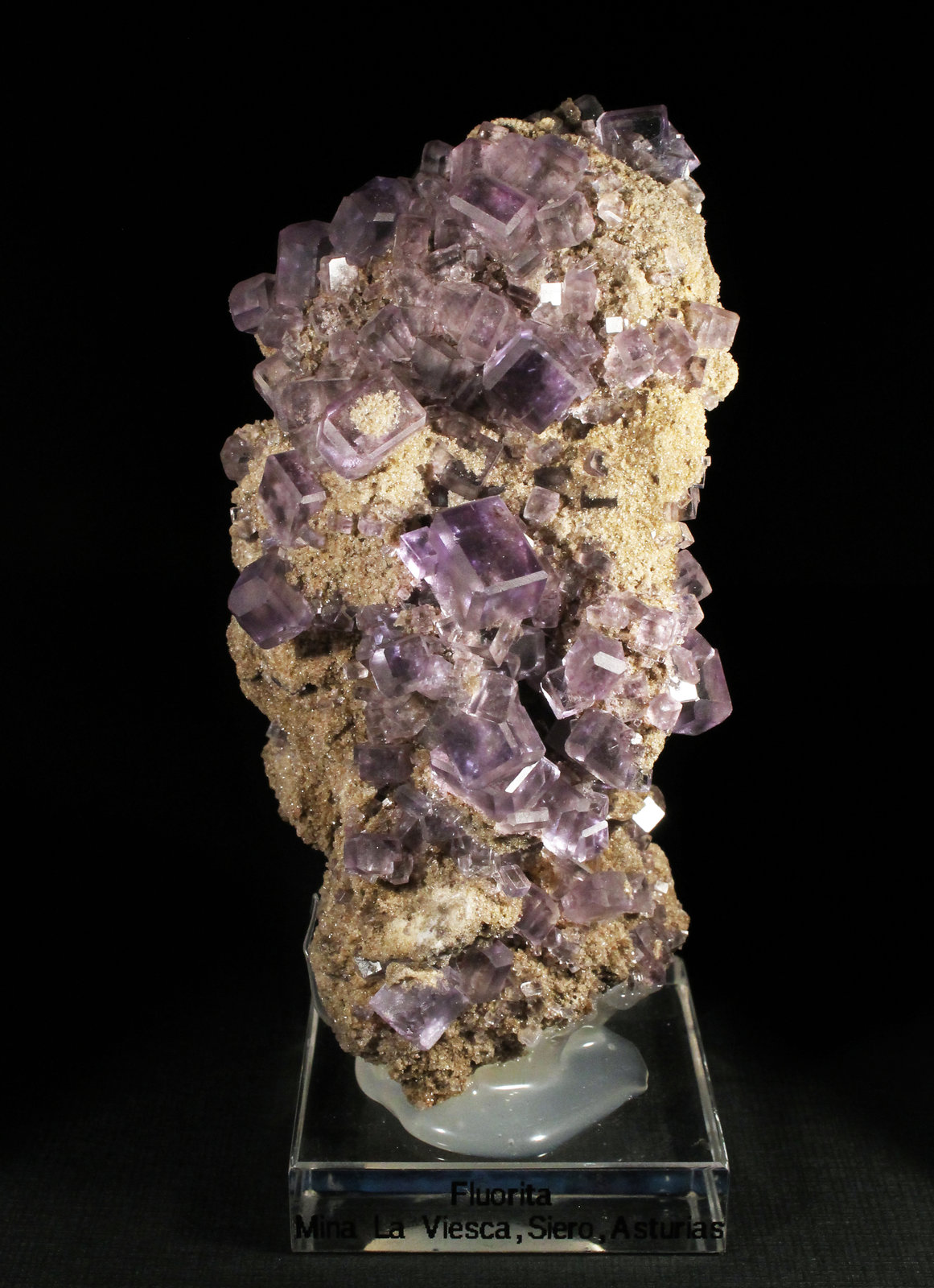 Fluorita
9 x 5 cm. (Cristal mayor: 1 cm).
(Autor: Darío Menéndez)