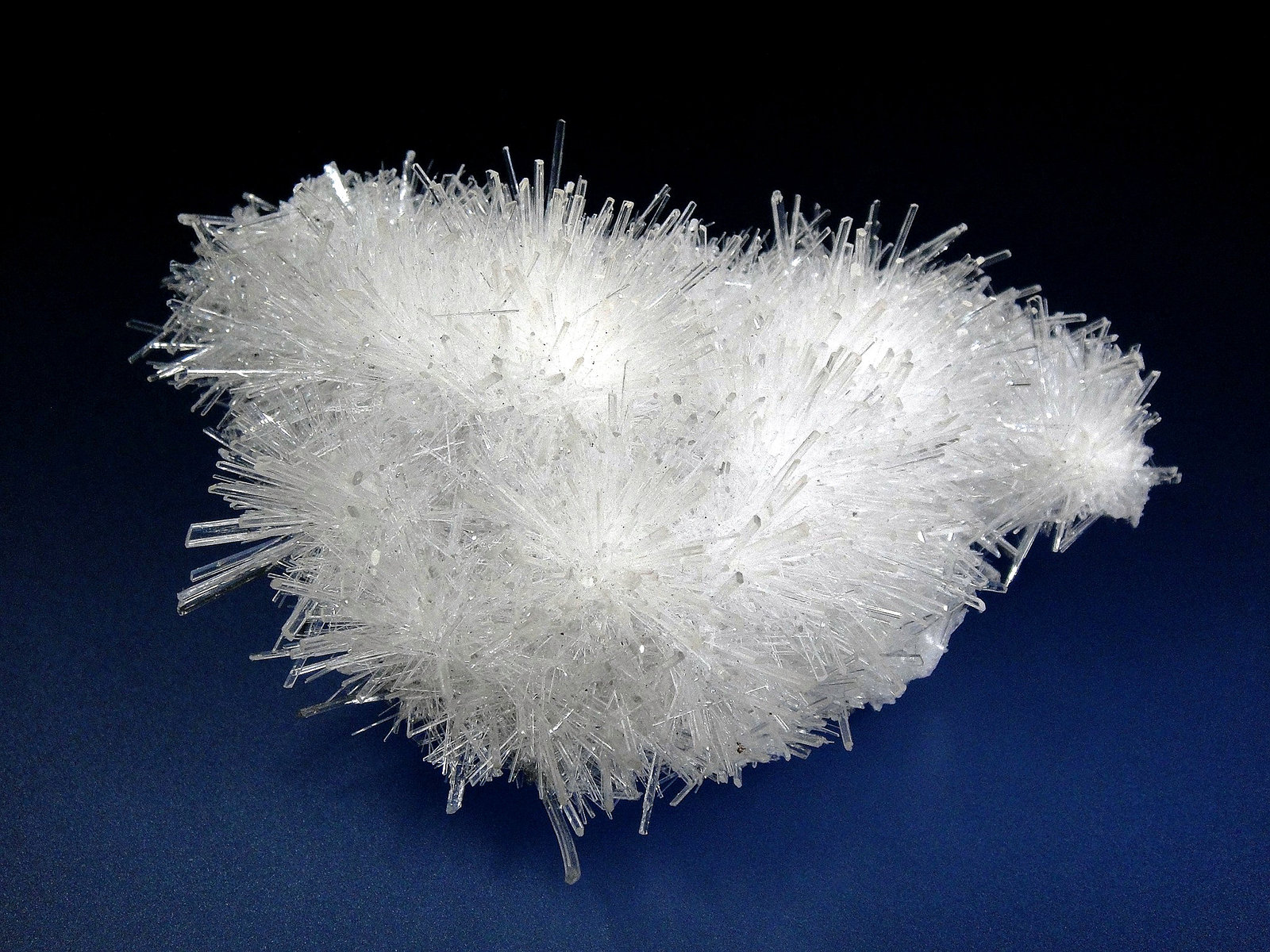 Yeso
7 x 6 cm.
(Autor: Antonio P. López)