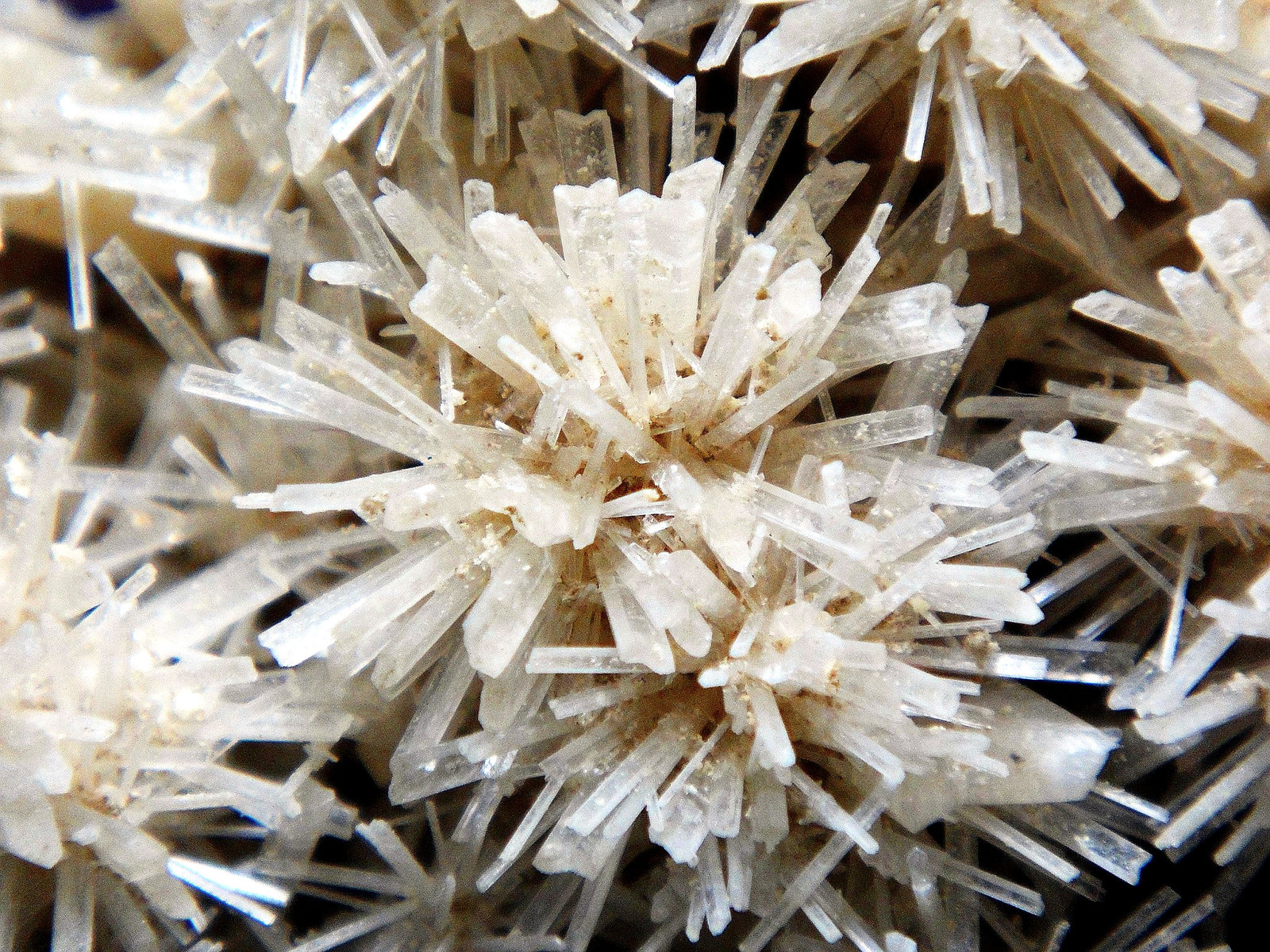 Yeso
Campo de visión 3 cm.
(Autor: Antonio P. López)