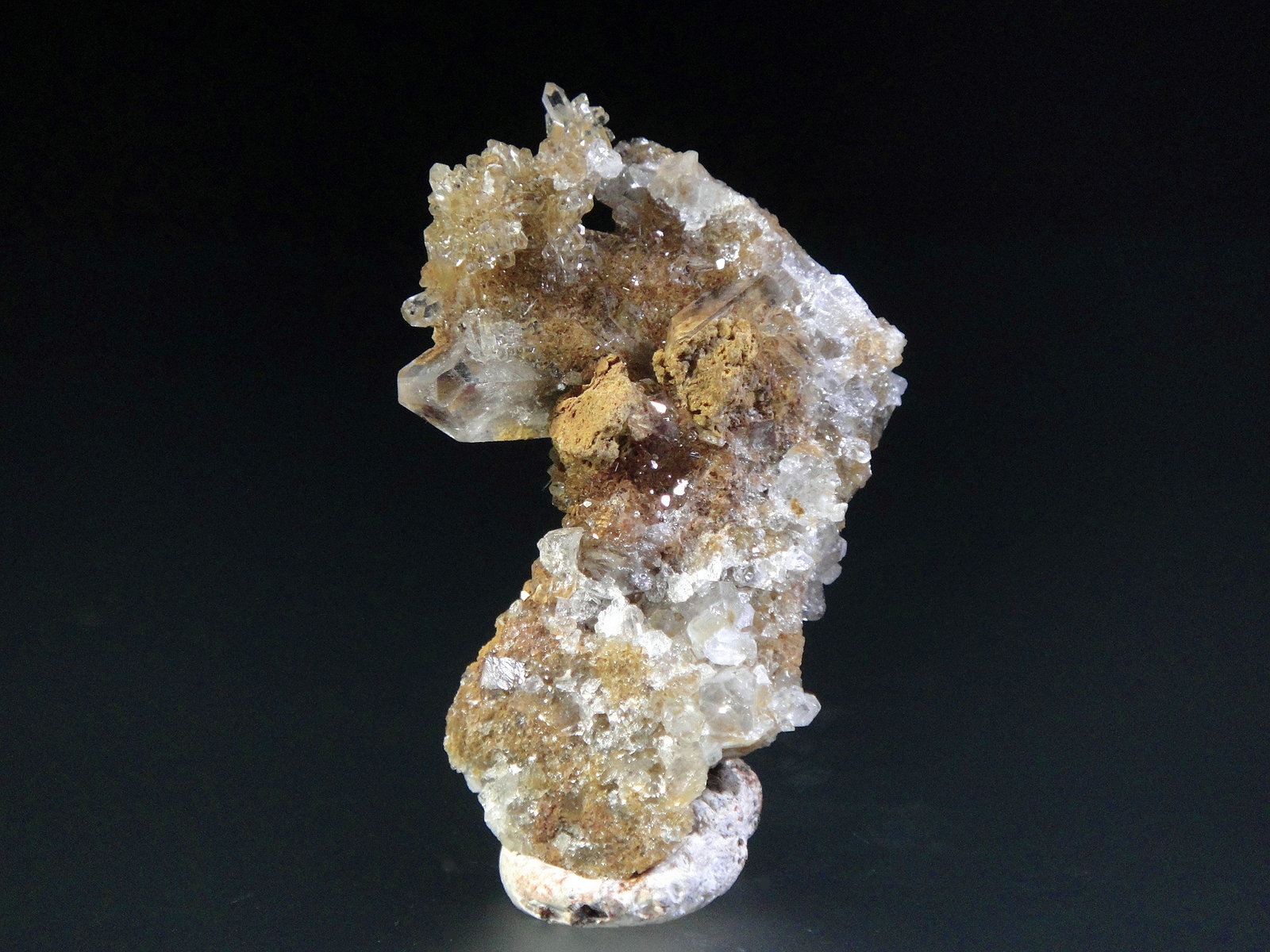 Celestina
5 x 3 cm.
(Autor: Antonio P. López)