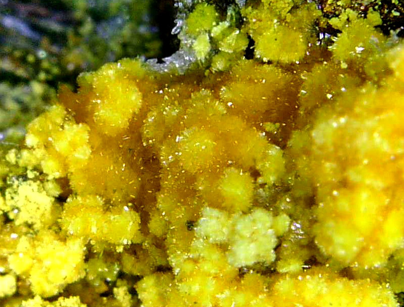 Sideronatrita
Campo de visión 5 mm.
(Autor: Antonio P. López)