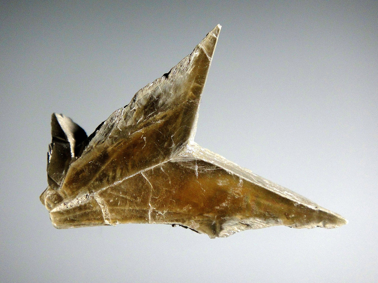 Yeso
4 x 3 cm.
(Autor: Antonio P. López)