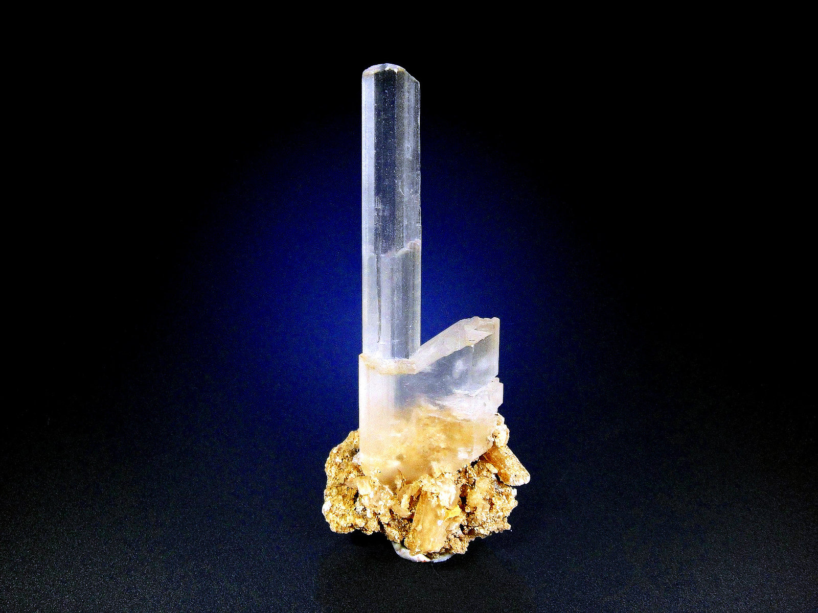 Yeso
7 x 2 cm.
(Autor: Antonio P. López)