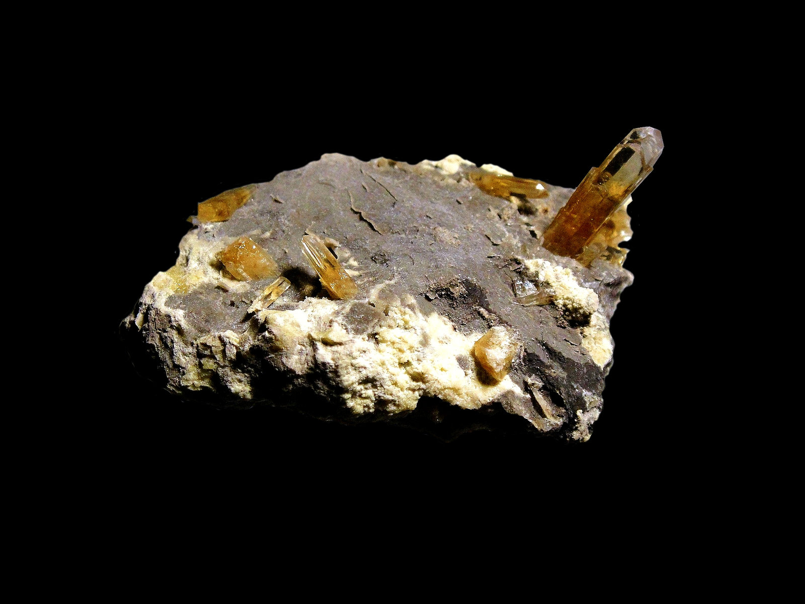 Celestina
8 x 5 cm.
(Autor: Antonio P. López)