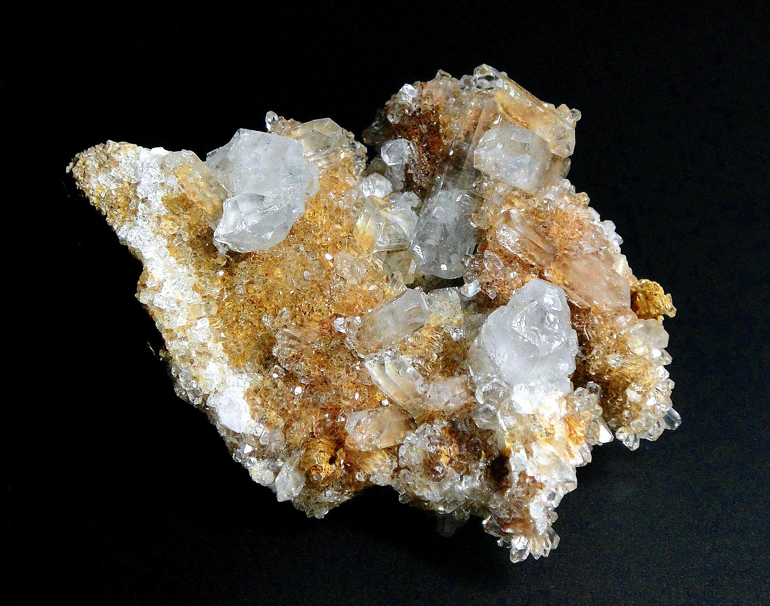 Celestina
6 x 6 cm
(Autor: Antonio P. López)