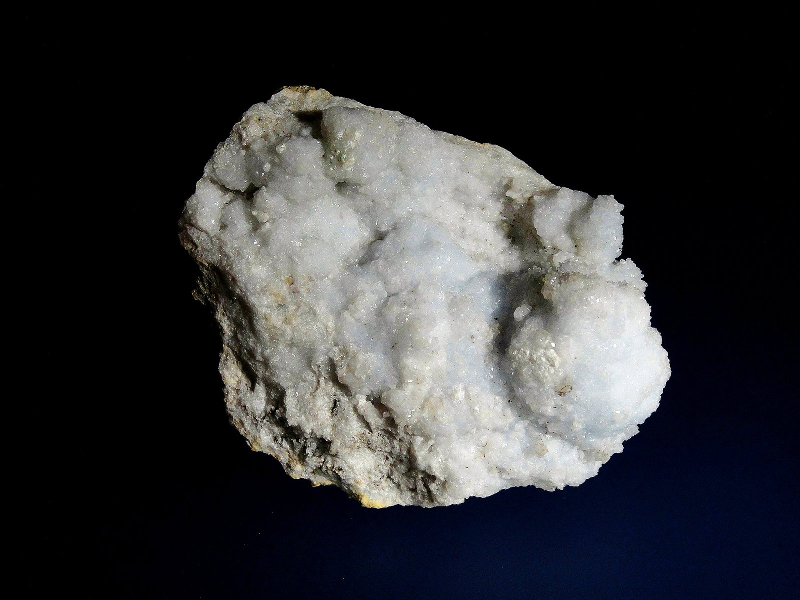 Celestina
8 x 7 cm.
(Autor: Antonio P. López)
