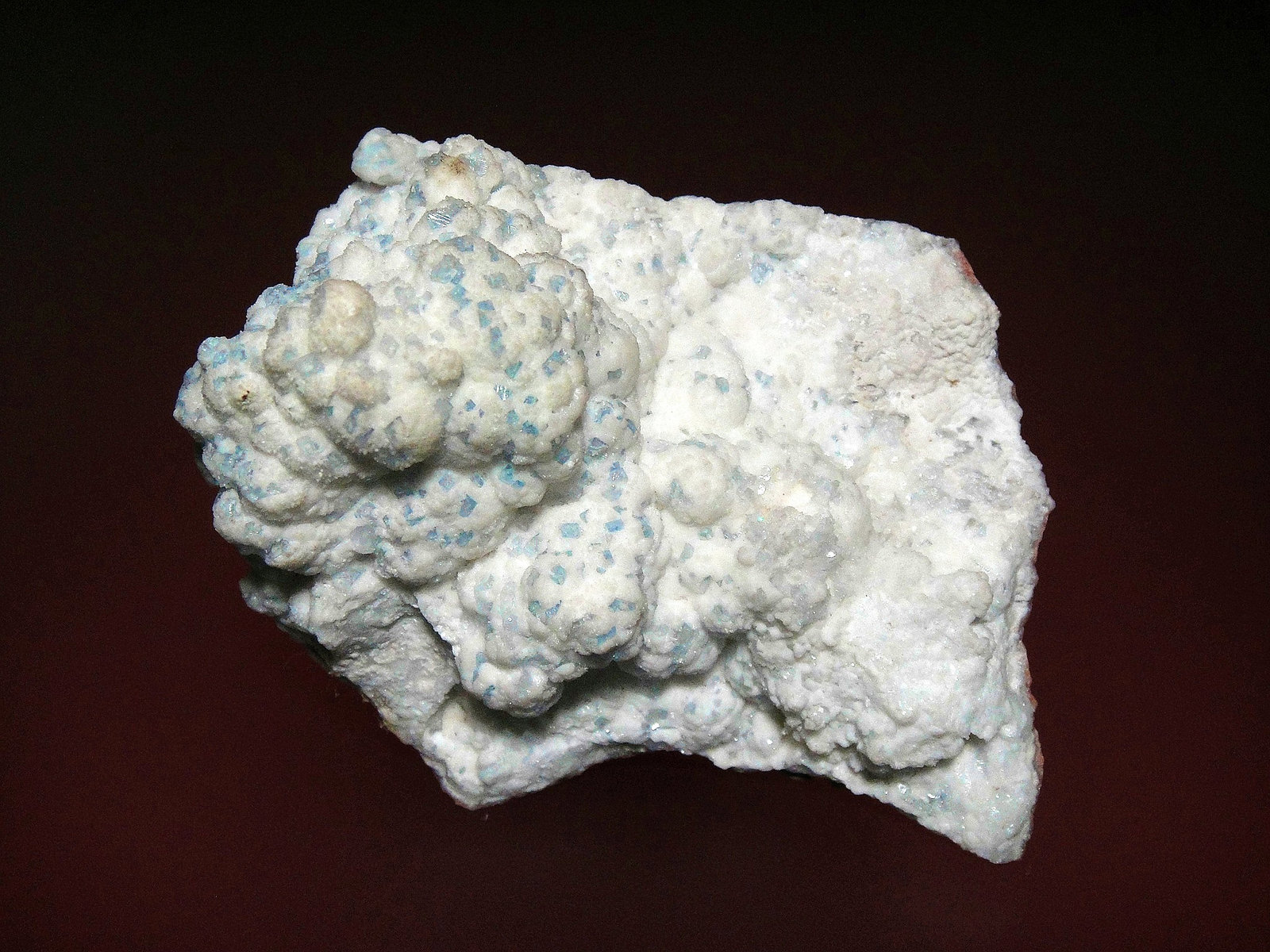 Celestina
8 x 6 cm.
(Autor: Antonio P. López)