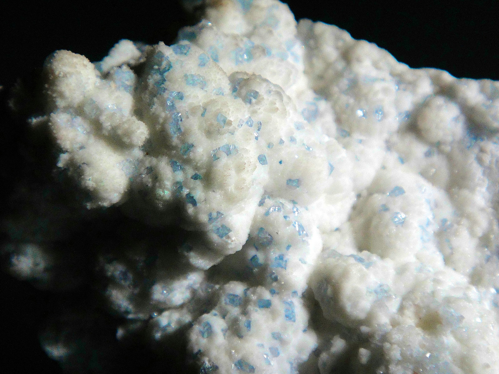 Celestina
Campo de visión 4 cm.
(Autor: Antonio P. López)
