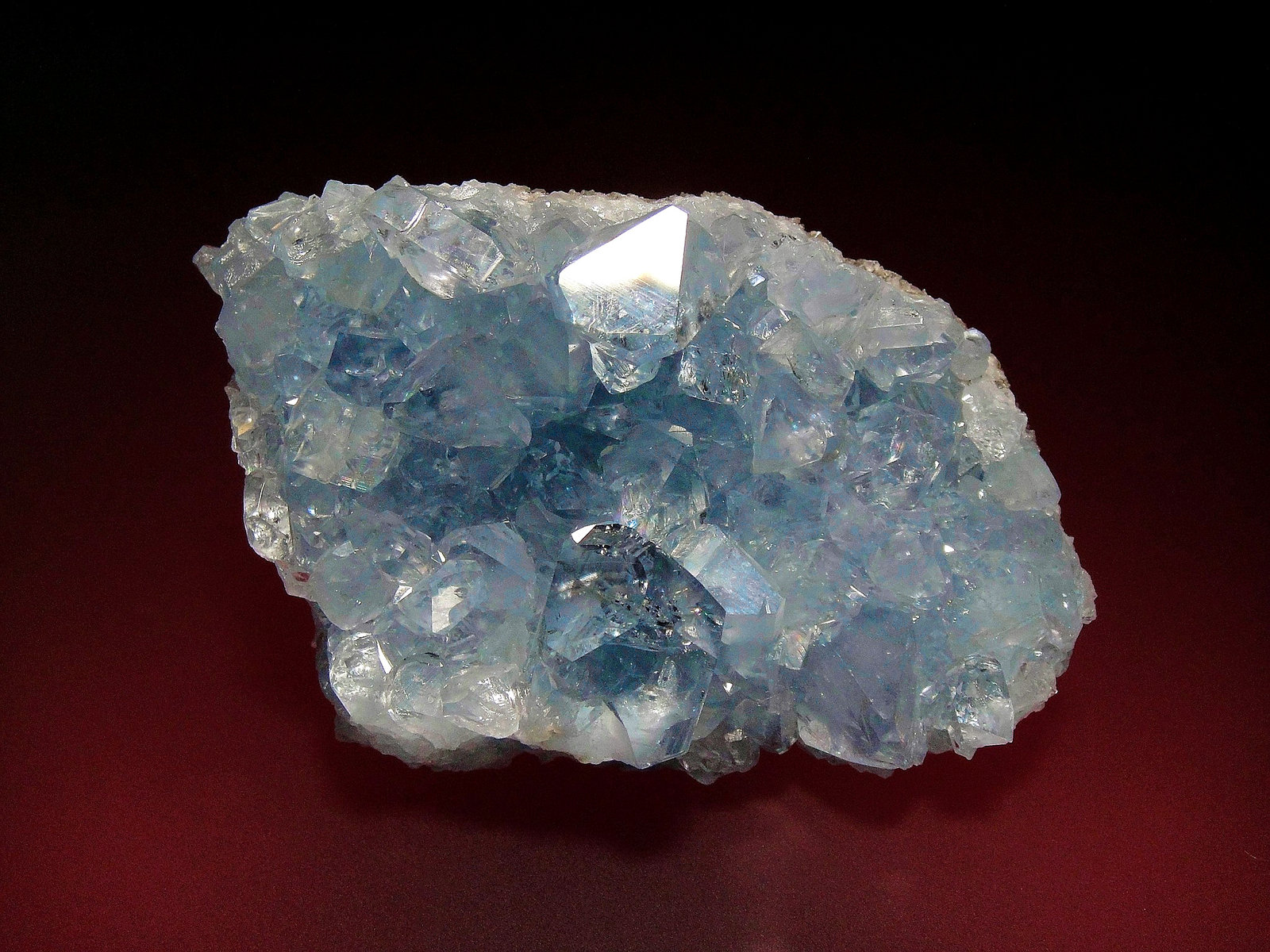 Celestina
8 x 5 cm.
(Autor: Antonio P. López)