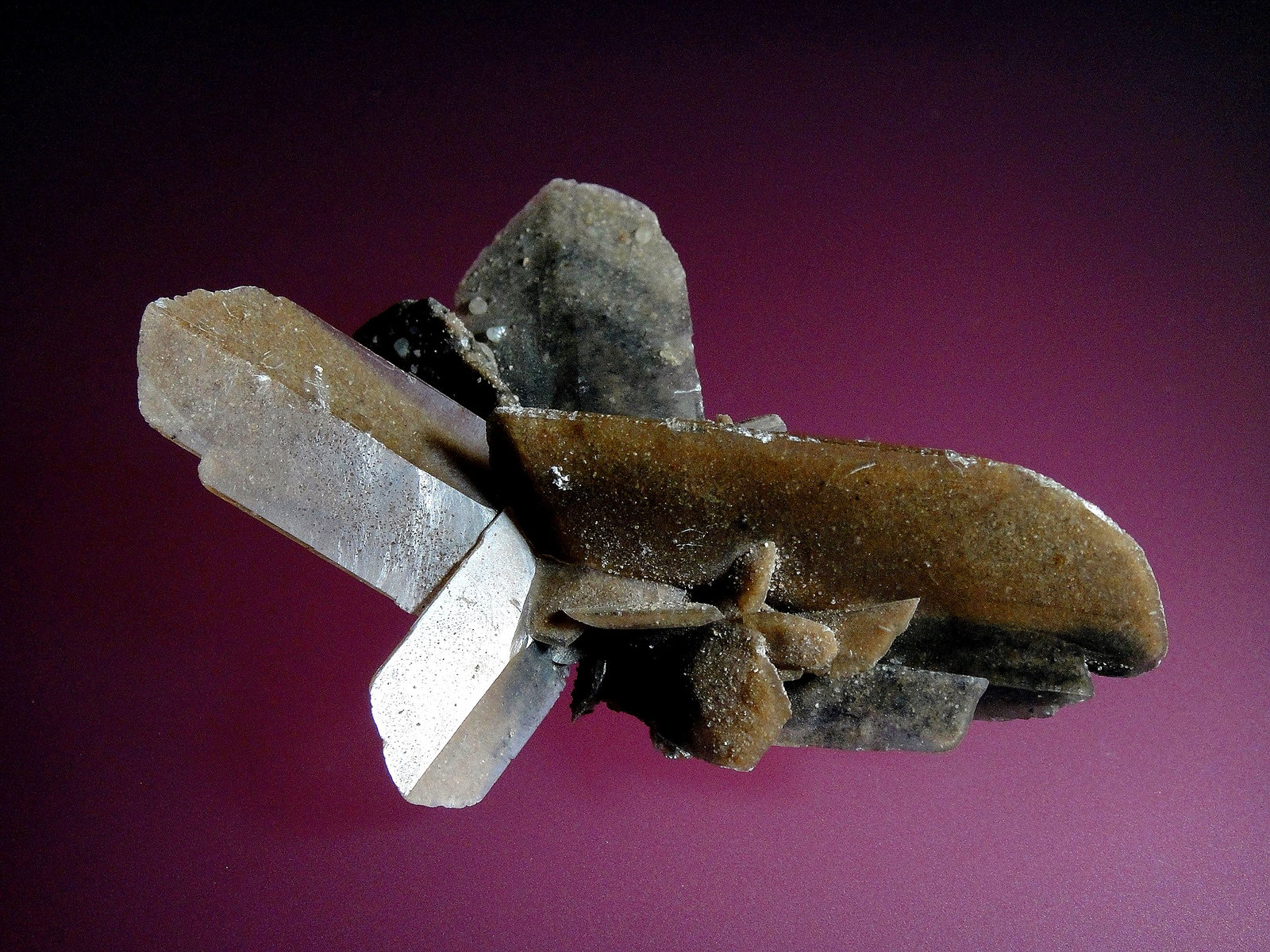 Yeso
8 x 6 cm.
(Autor: Antonio P. López)