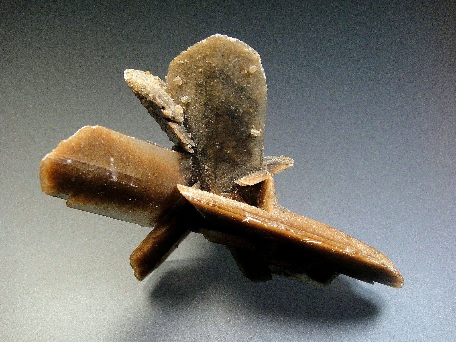 Yeso
8 x 6 cm.
(Autor: Antonio P. López)