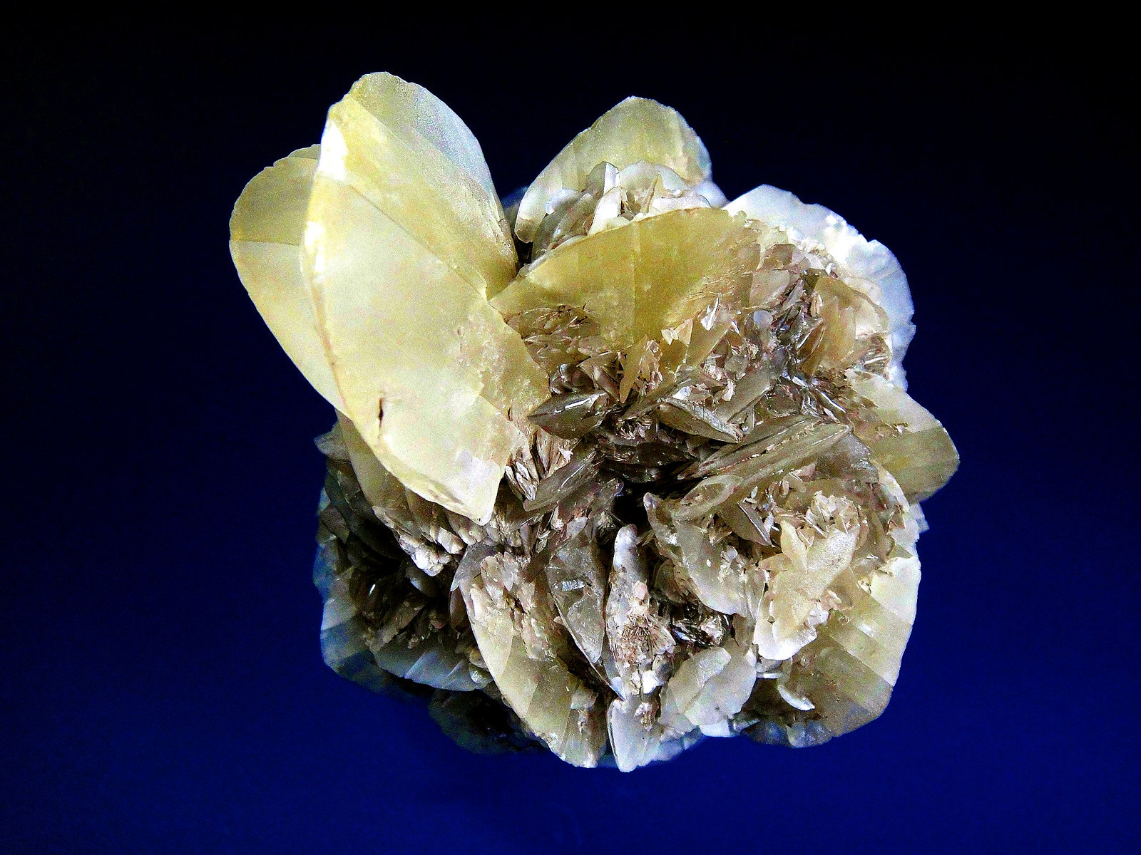 Yeso
6 x 5 cm.
(Autor: Antonio P. López)