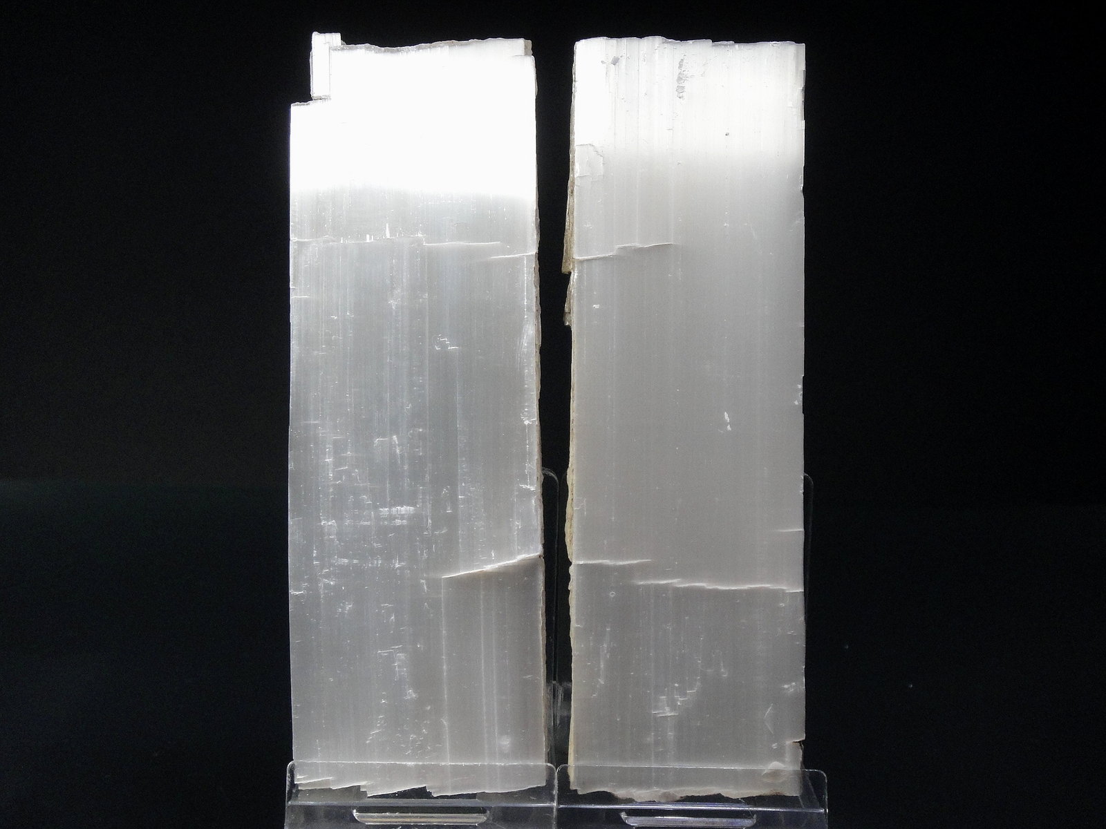 Yeso
12 x 5 cm.
(Autor: Antonio P. López)