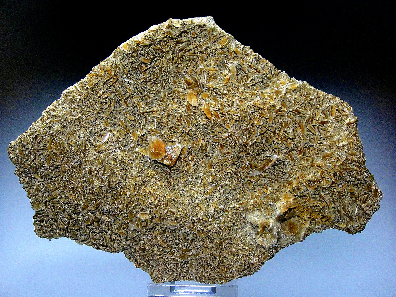 Yeso
16 x 11 cm.
(Autor: Antonio P. López)