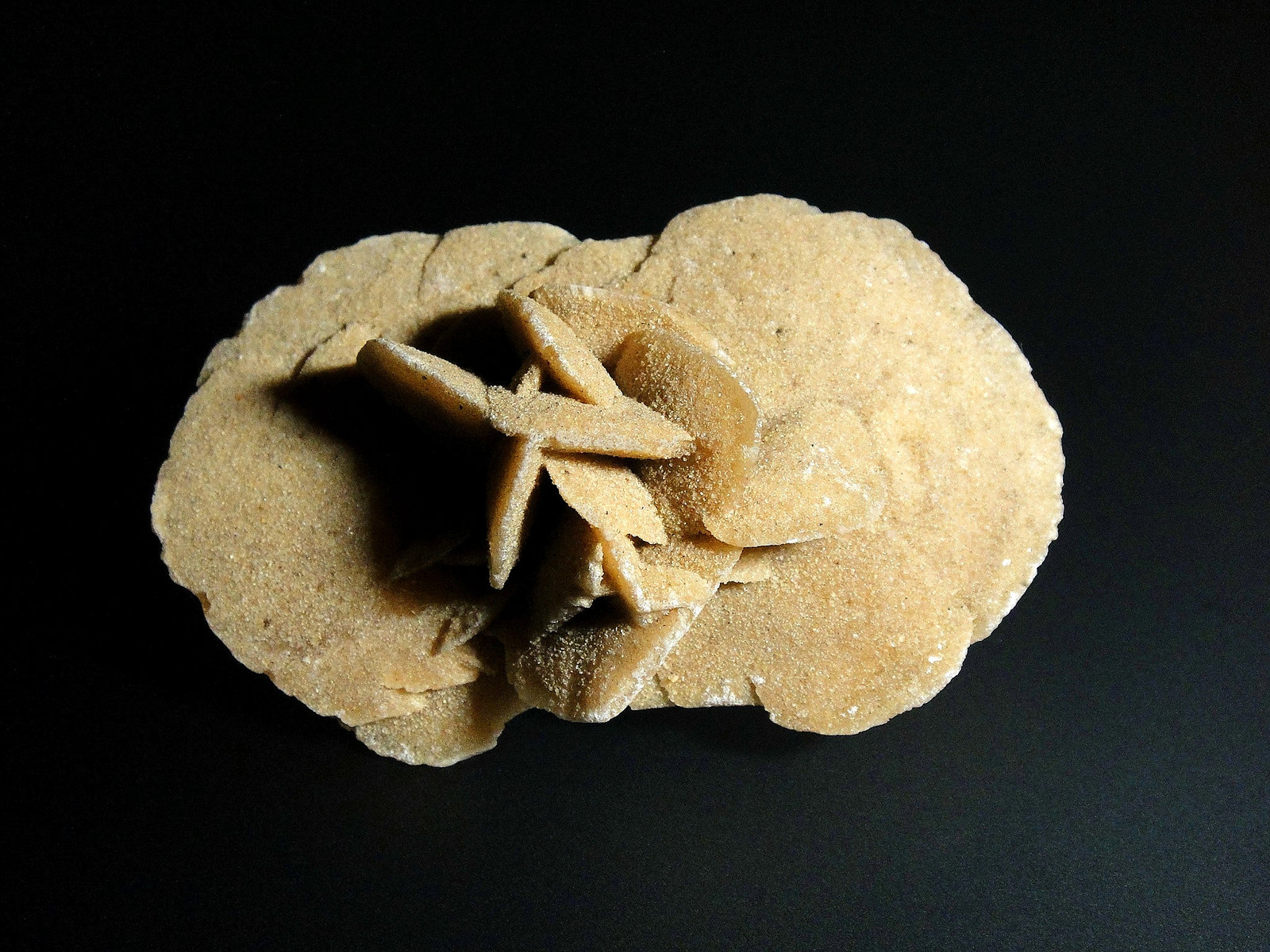 Yeso
6 x 5 cm.
(Autor: Antonio P. López)
