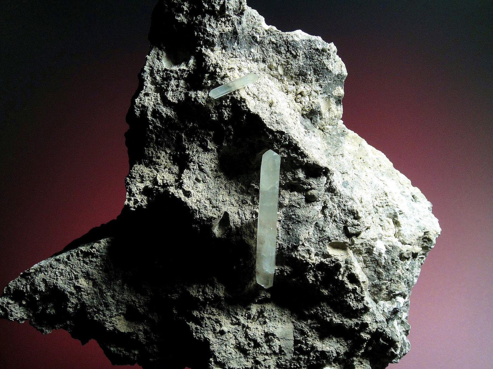 Celestina
12 x 12 cm.
(Autor: Antonio P. López)