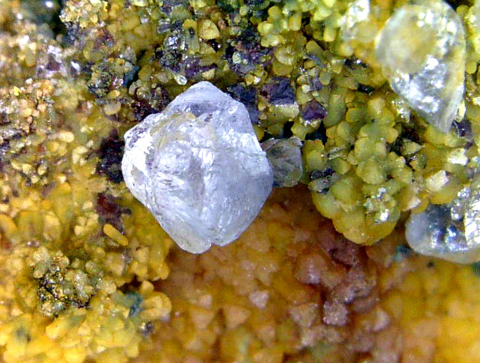 Calcita, Cuprocopiapita
Campo de visión 10 mm.
(Autor: Antonio P. López)