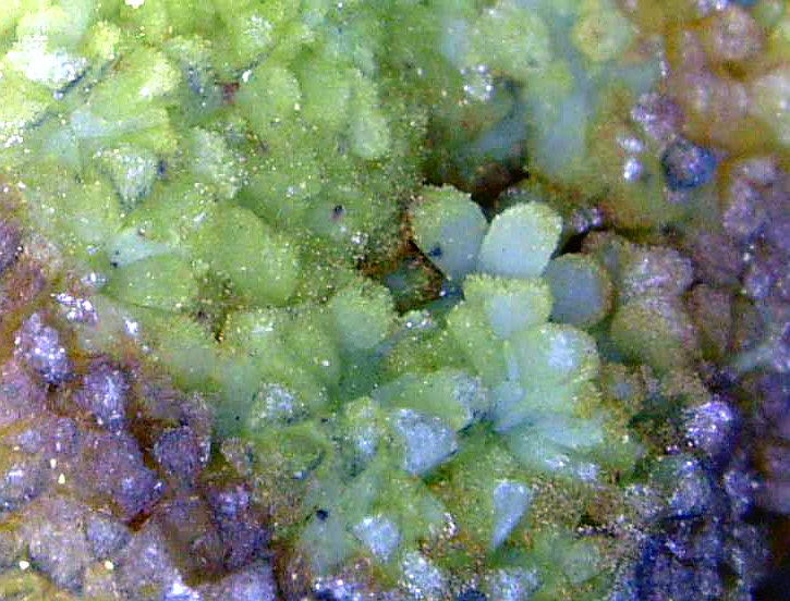 Cuprocopiapita
Campo de visión 5 mm.
(Autor: Antonio P. López)