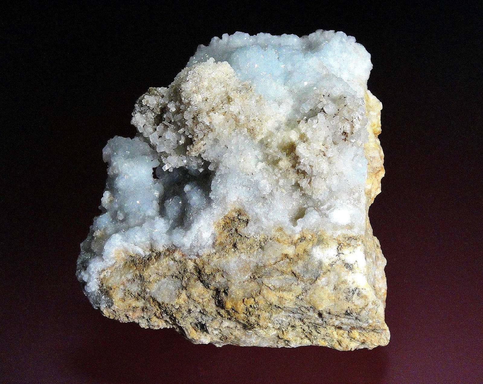 Celestina
8 x 7 cm.
(Autor: Antonio P. López)
