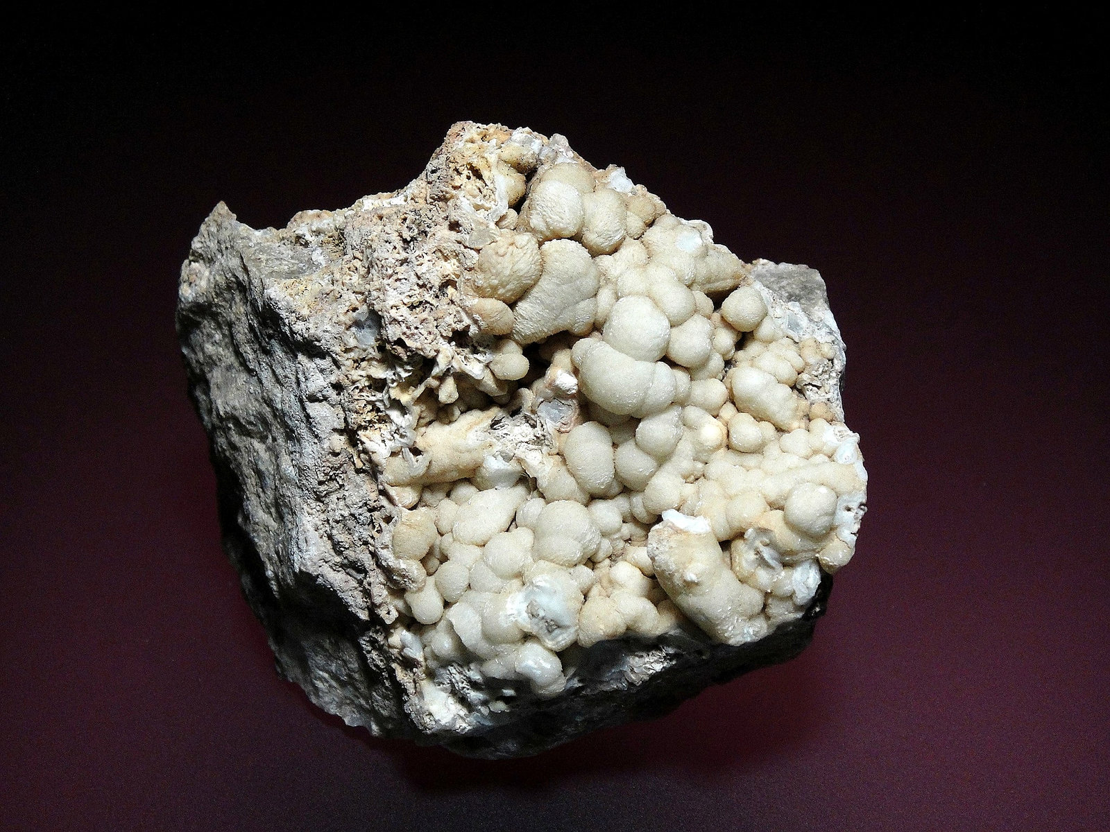 Celestina
8 x 6 cm.
(Autor: Antonio P. López)