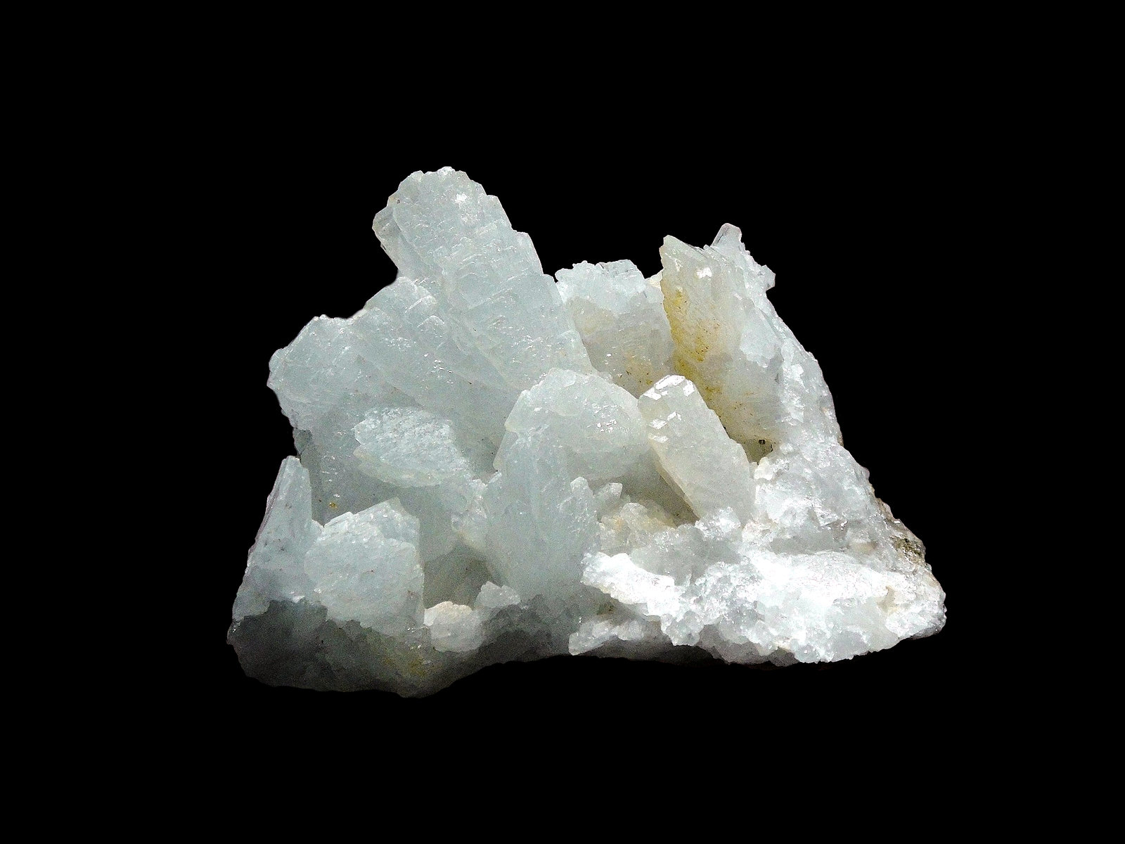 Celestina
6 x 5 cm.
(Autor: Antonio P. López)