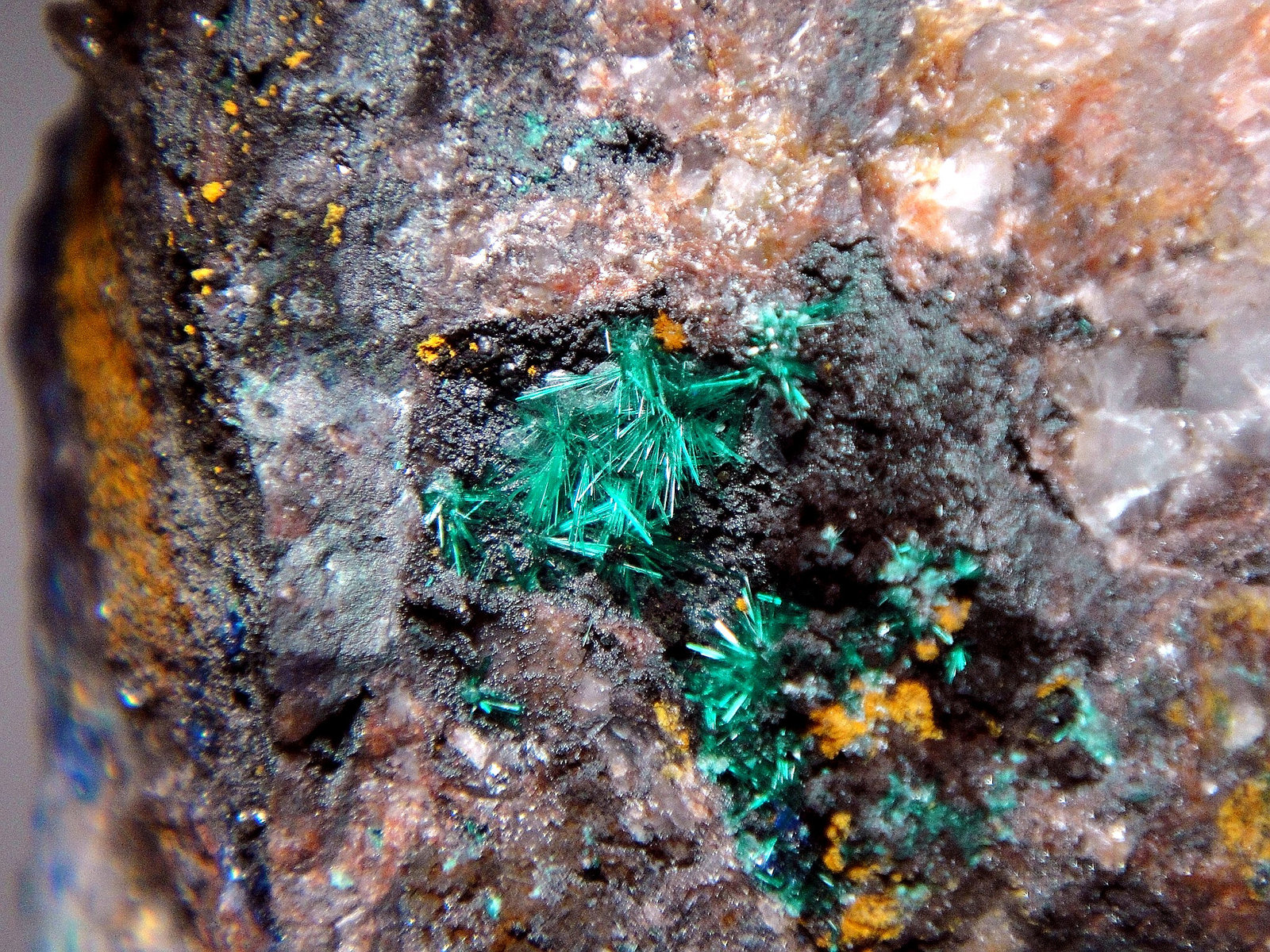 Brochantita
Campo de visión 3,5 cm.
(Autor: Antonio P. López)