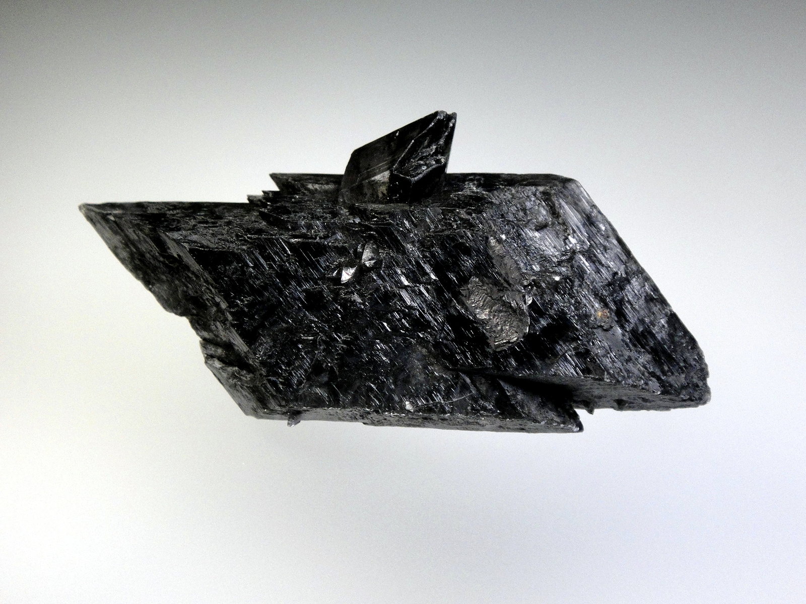 Yeso
8 x 4 cm.
(Autor: Antonio P. López)