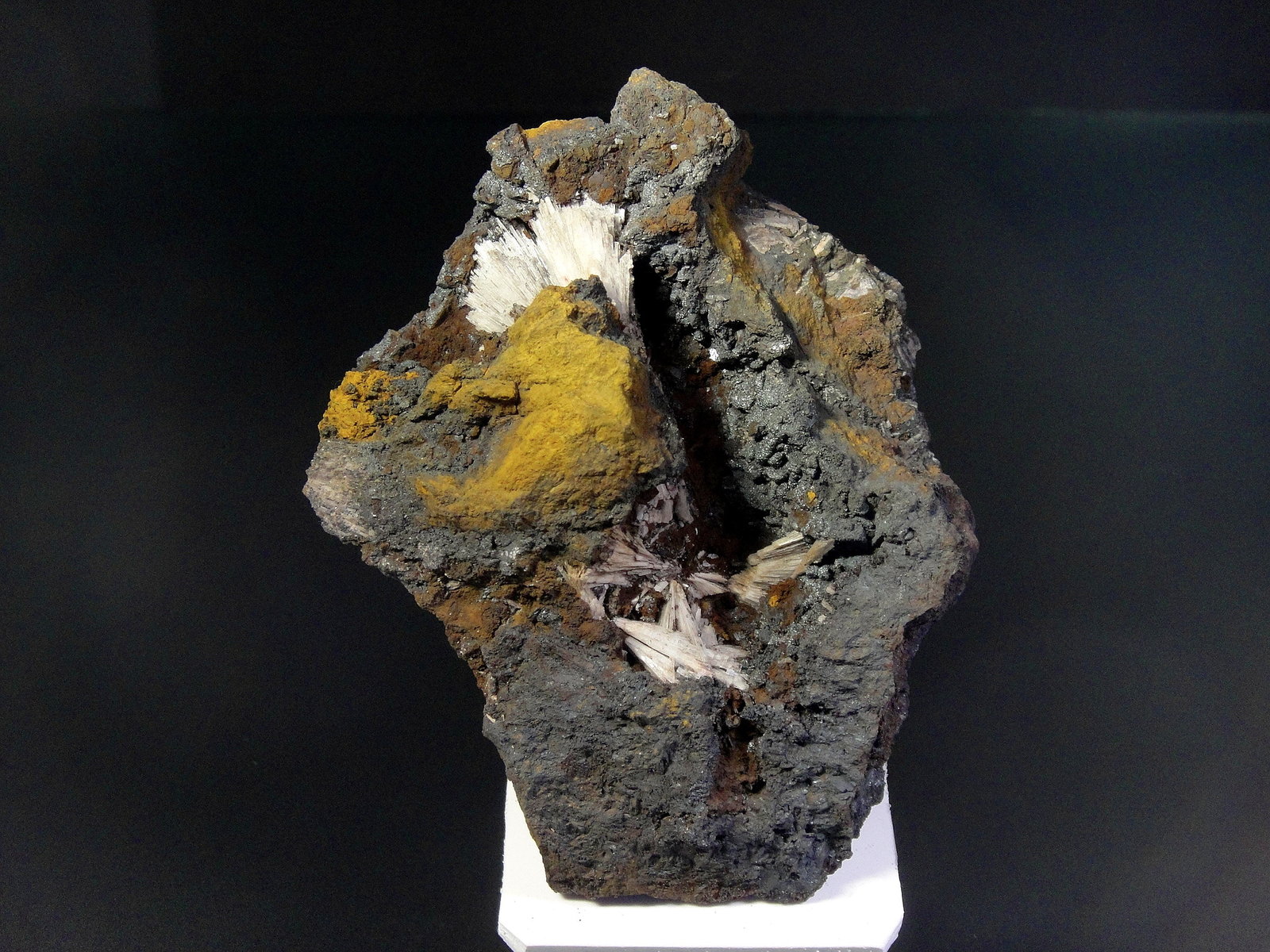Celestina
10 x 8 cm.
(Autor: Antonio P. López)