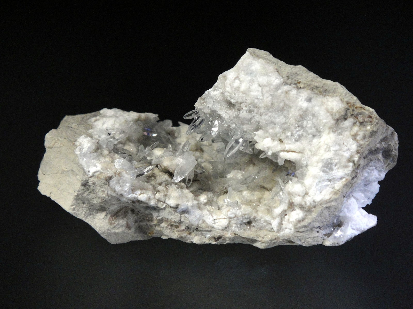 Celestina
8 x 5 cm.
(Autor: Antonio P. López)