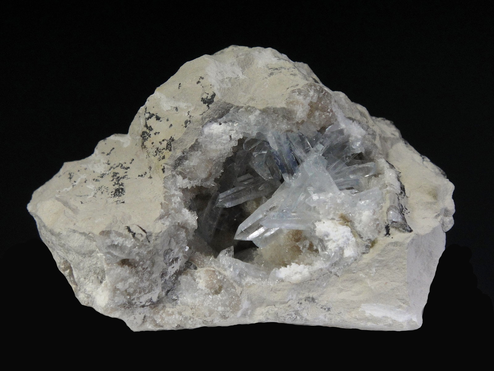 Celestina
6 x 3 cm.
(Autor: Antonio P. López)