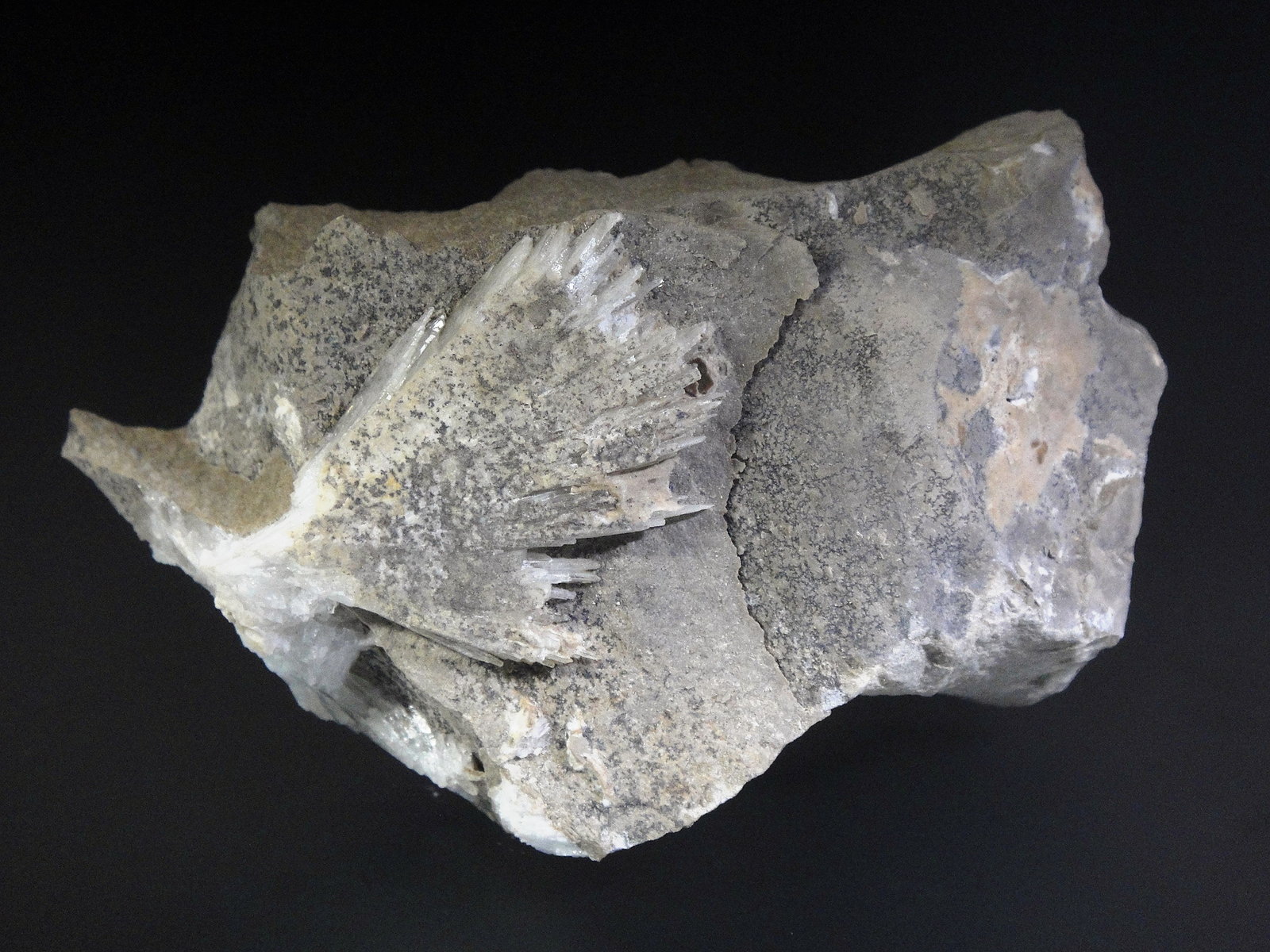 Celestina
9 x 5 cm.
(Autor: Antonio P. López)