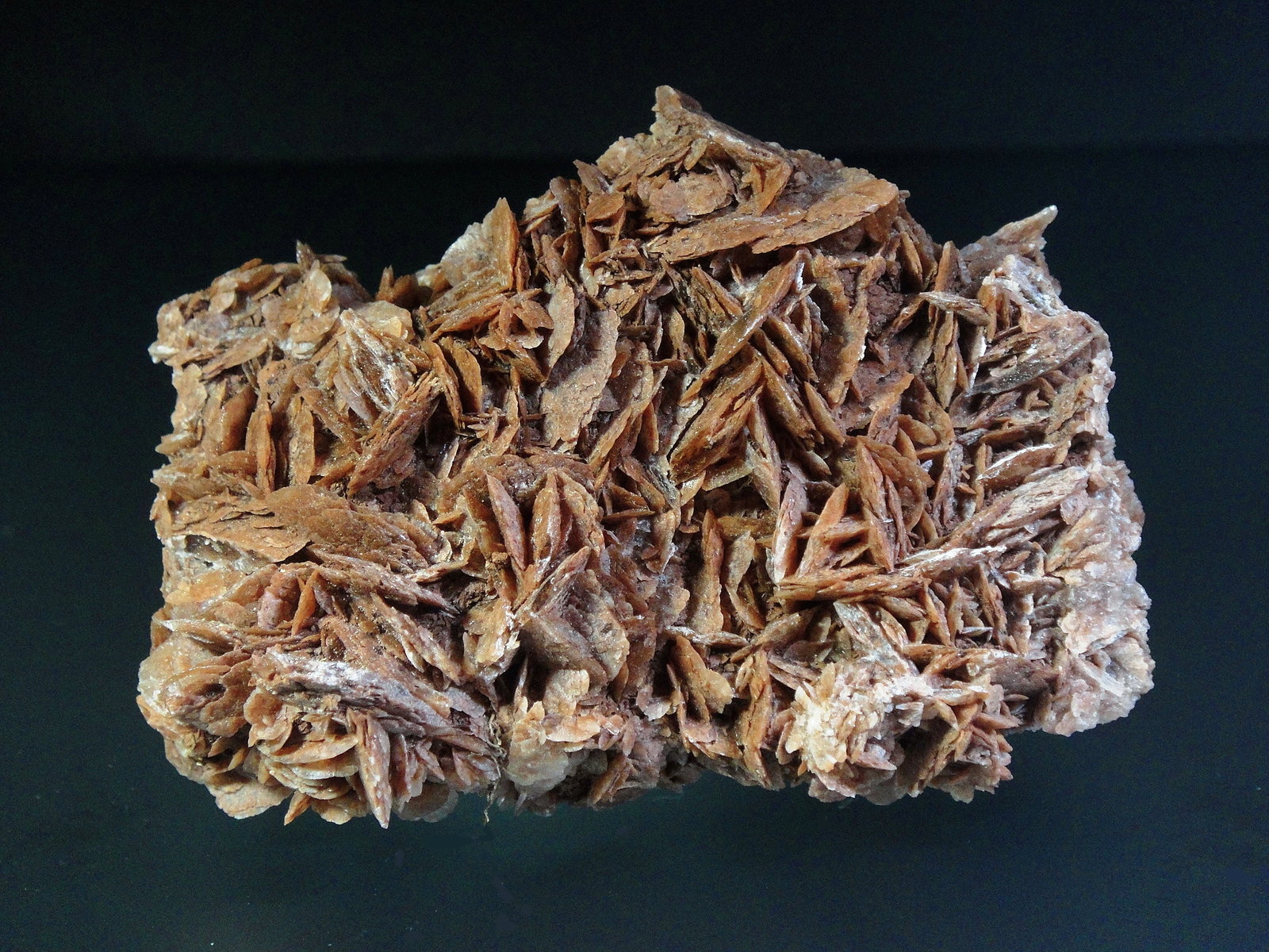 Yeso
8 x 5 cm.
(Autor: Antonio P. López)