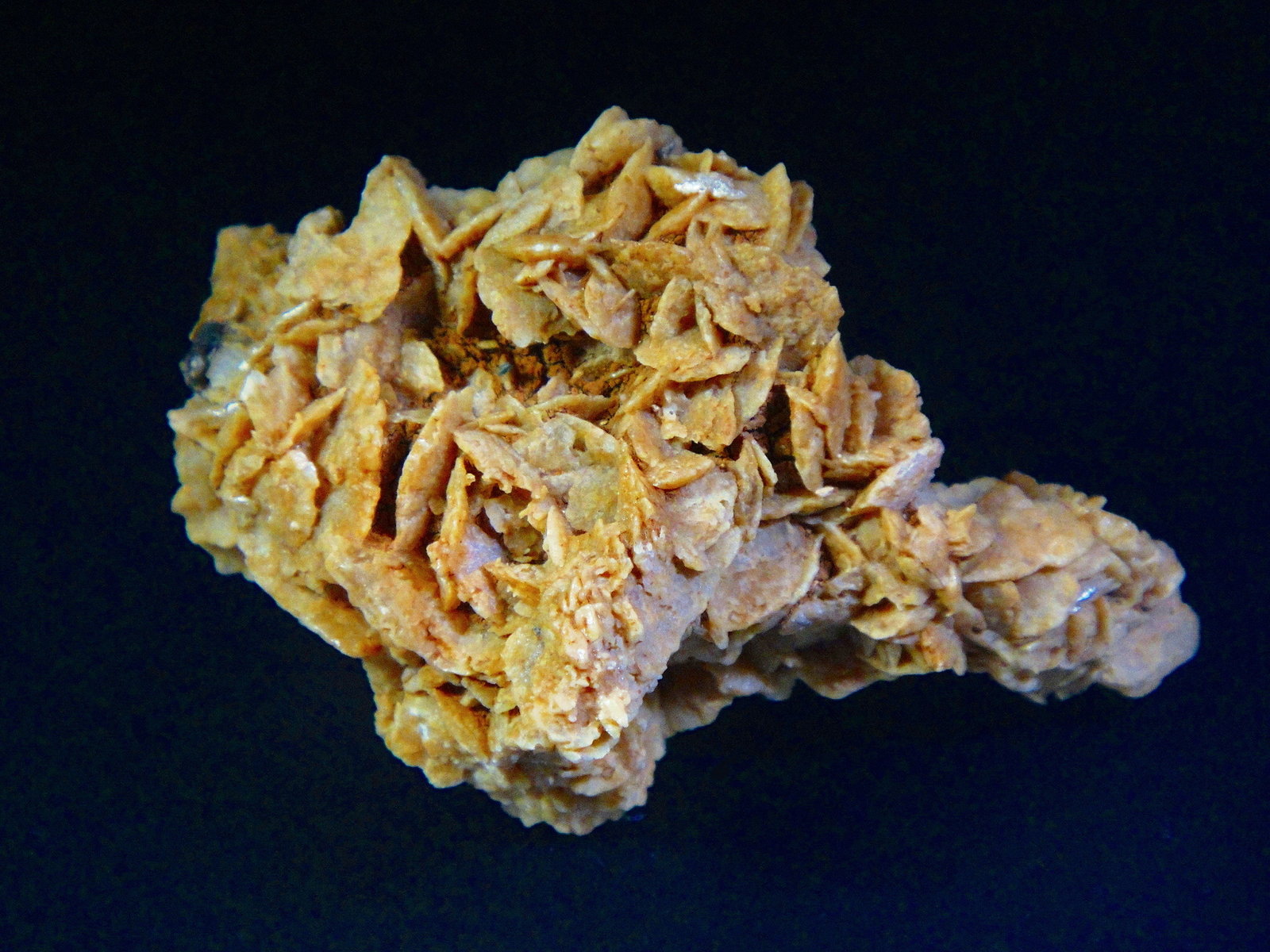 Yeso
6 x 4 cm.
(Autor: Antonio P. López)
