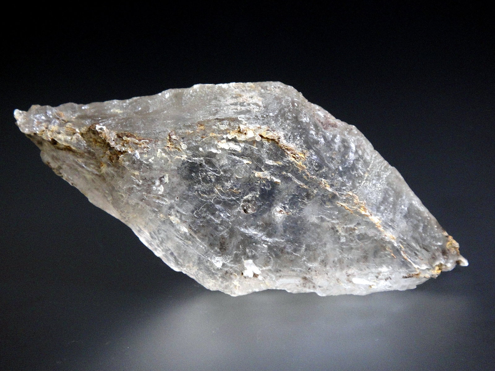 Yeso
9 x 4 cm.
(Autor: Antonio P. López)