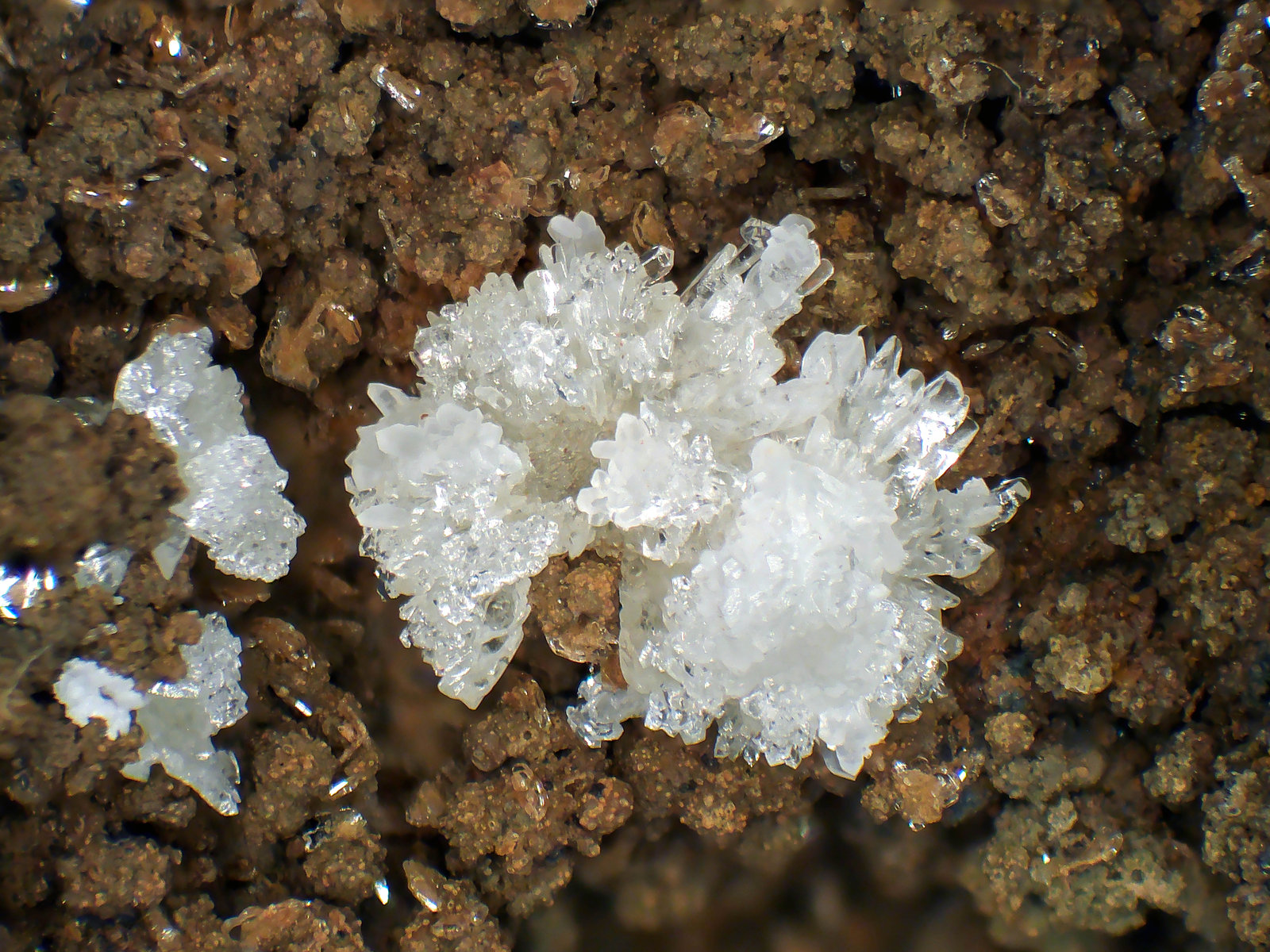 Taumasita
Grupo de cristales de 4 mm.
(Autor: Antonio P. López)