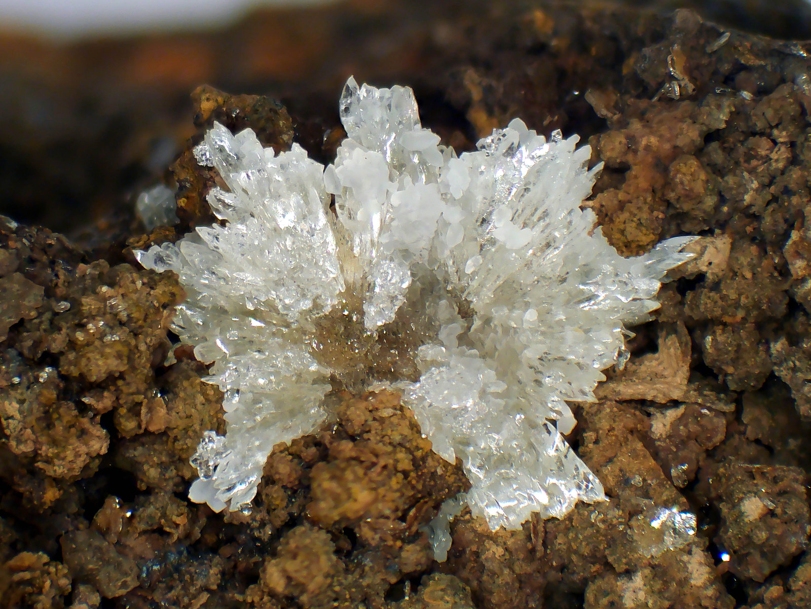 Taumasita
Grupo de cristales de 6 mm.
(Autor: Antonio P. López)