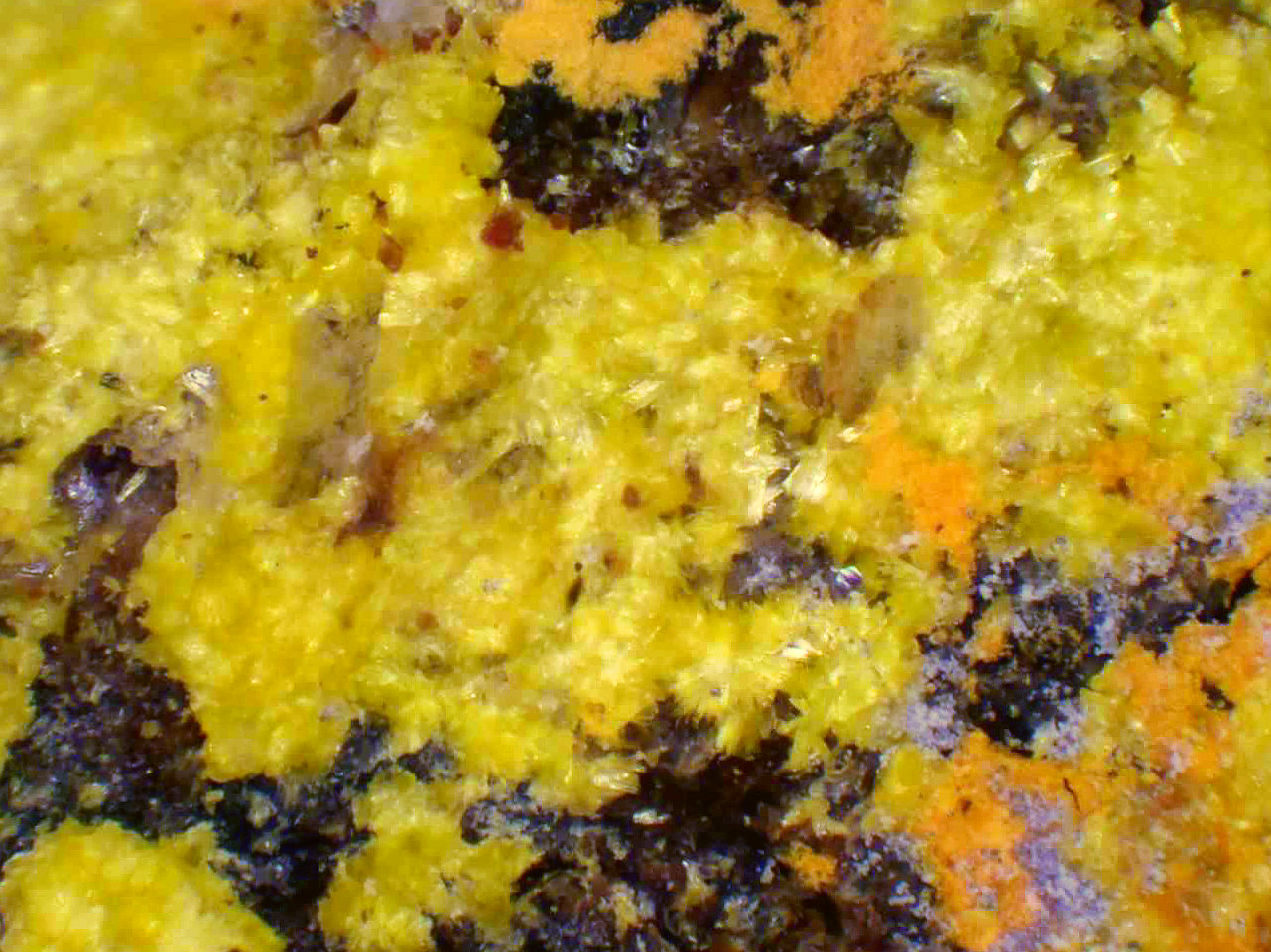 Uranopilita
Campo de visión 2 mm.
(Autor: Antonio P. López)