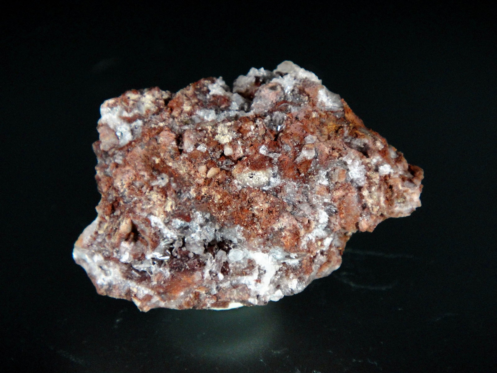 Caracolita
4 x 3 cm.
(Autor: Antonio P. López)