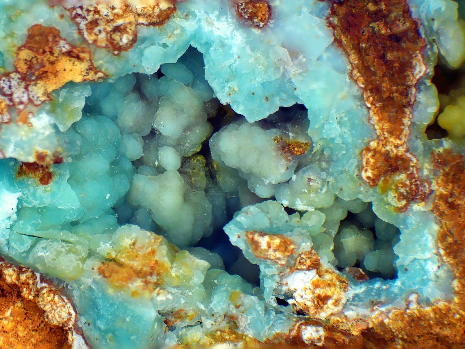 Schulenbergita
Campo de visión 5 mm.
(Autor: Antonio P. López)