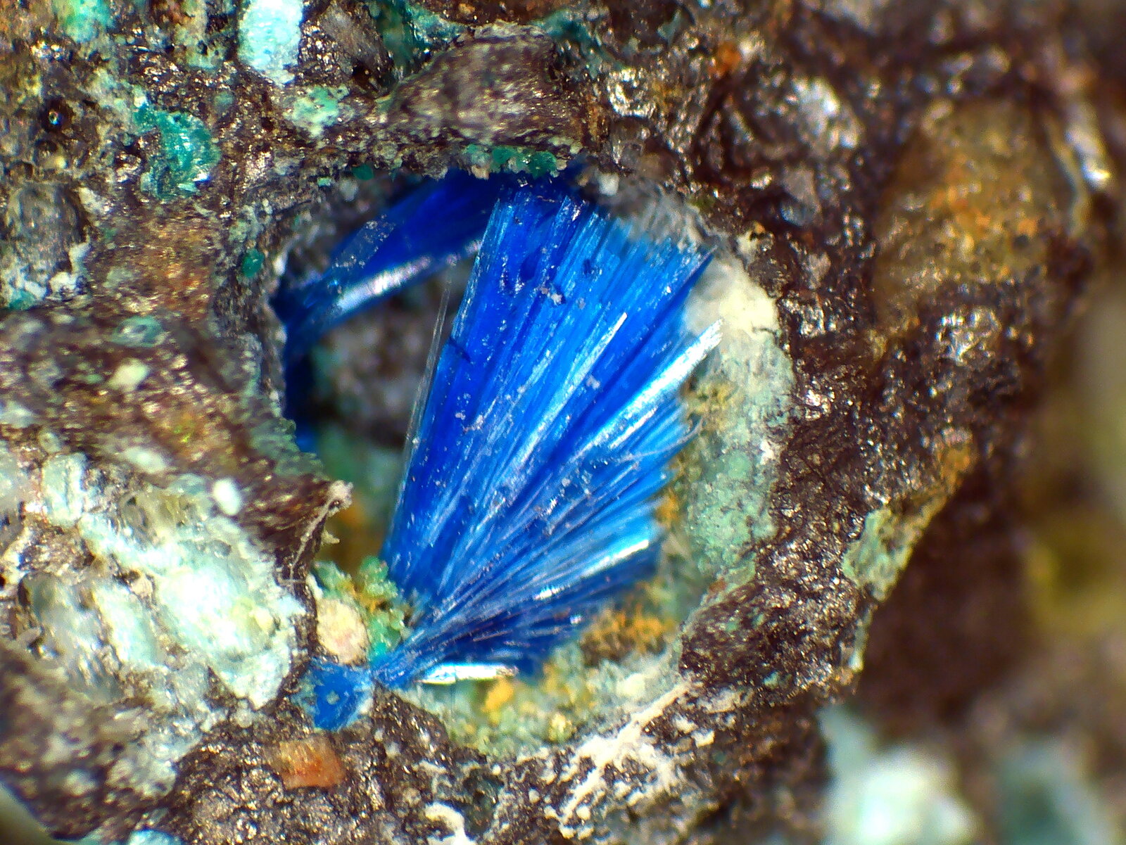 Linarita
Grupo de 2 mm.
(Autor: Antonio P. López)