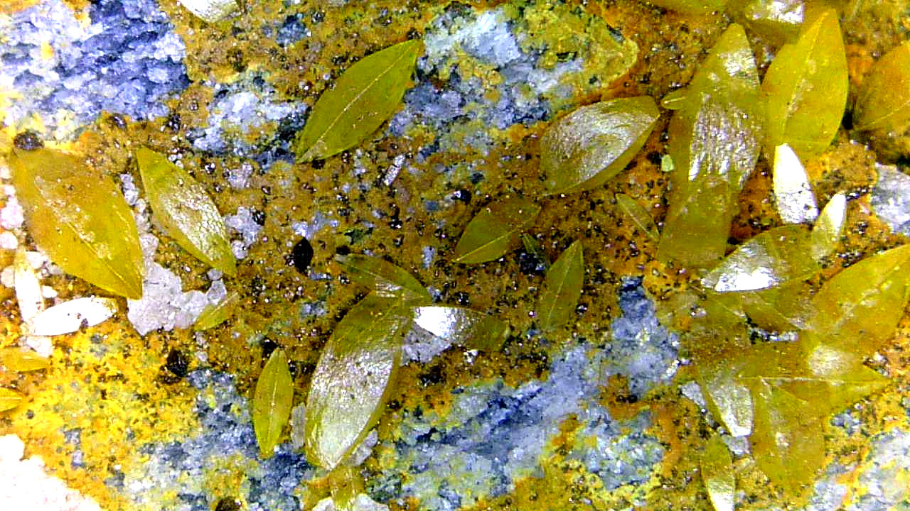 Wulfenita
Campo de visión 12 mm.
(Autor: Antonio P. López)