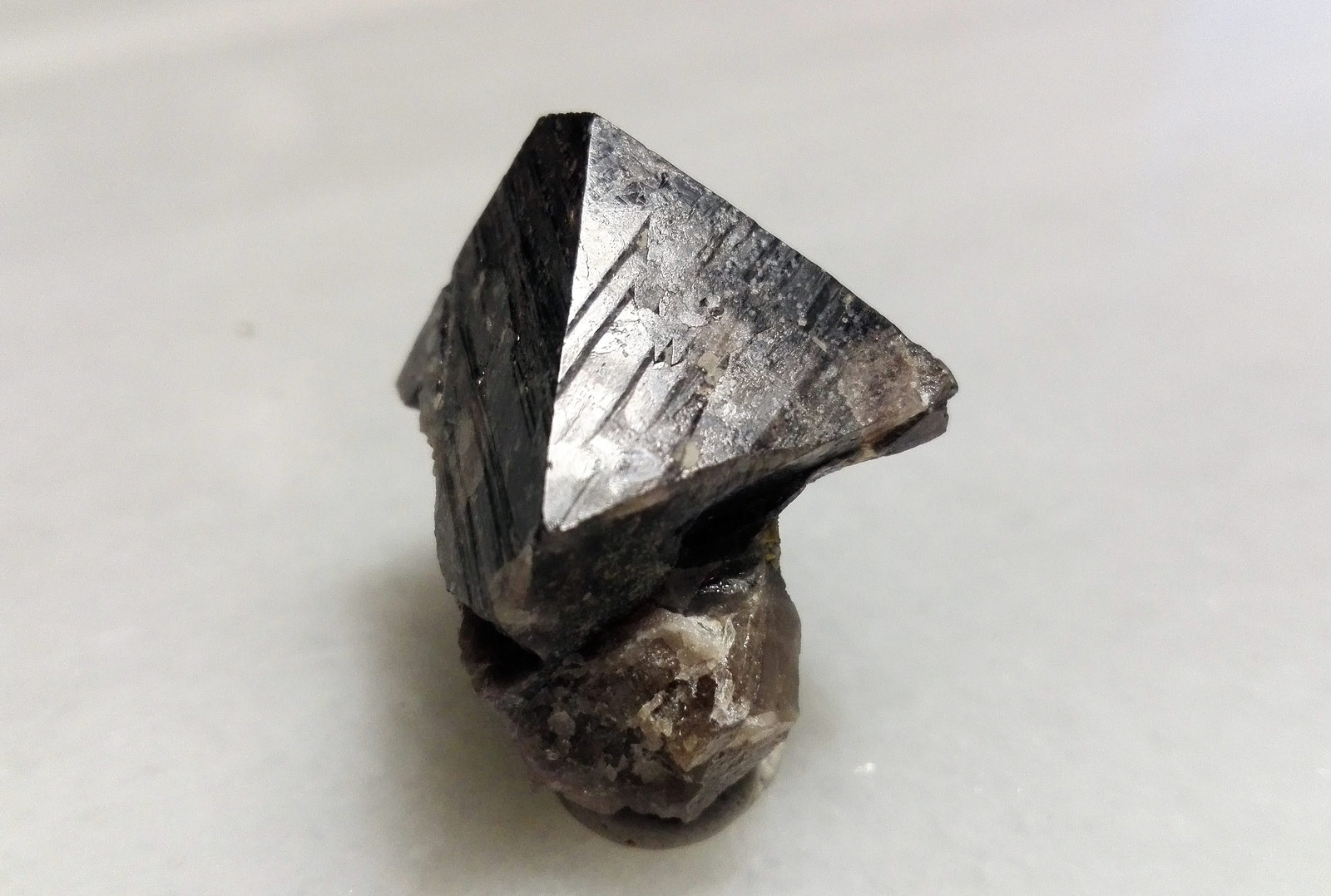Scheelita
2,5 x 2,2 cm.
(Autor: Antonio P. López)