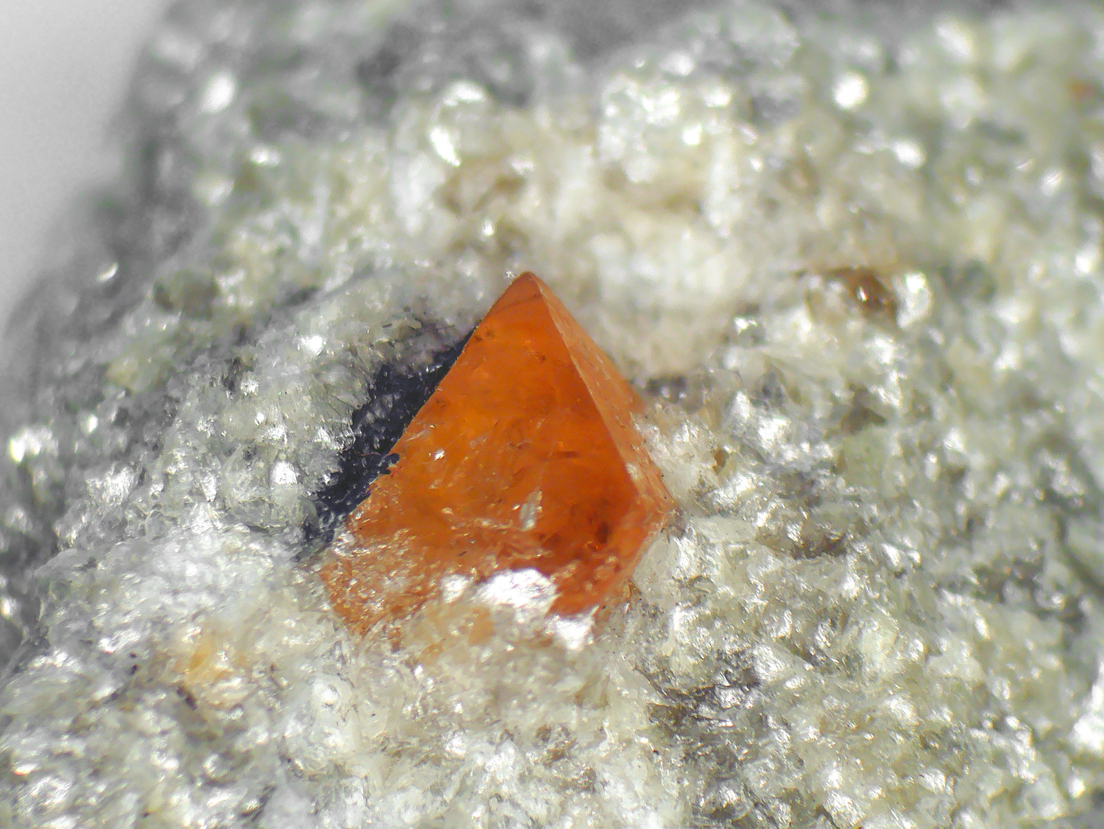 Scheelita
Cristal de 3 mm.
(Autor: Antonio P. López)