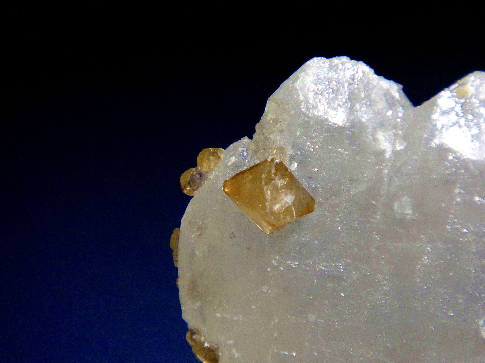 Scheelita en Cuarzo
Cristal de 0,7 cm.
(Autor: Antonio P. López)