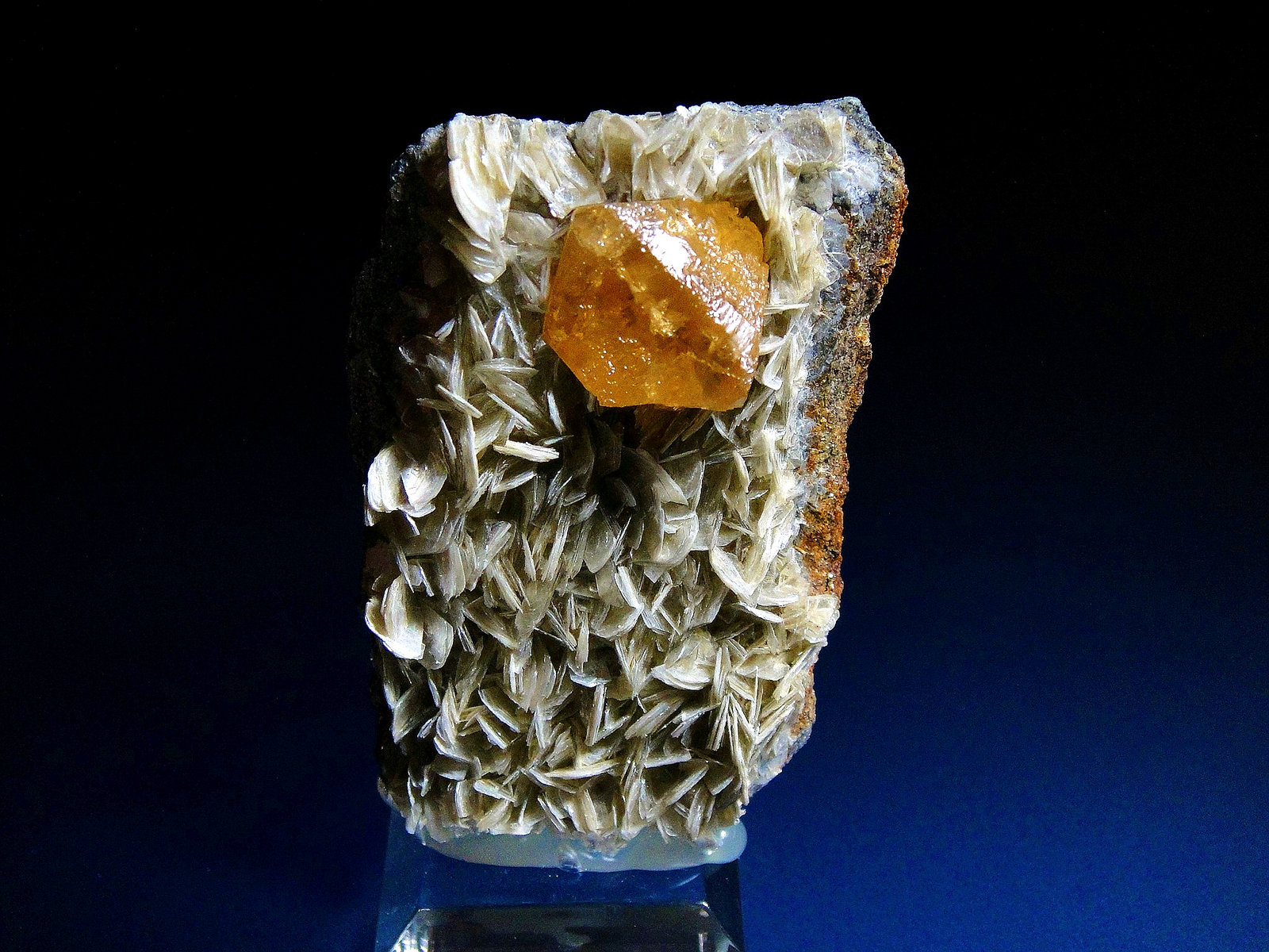 Scheelita en Moscovita
6 x 4 cm.
(Autor: Antonio P. López)
