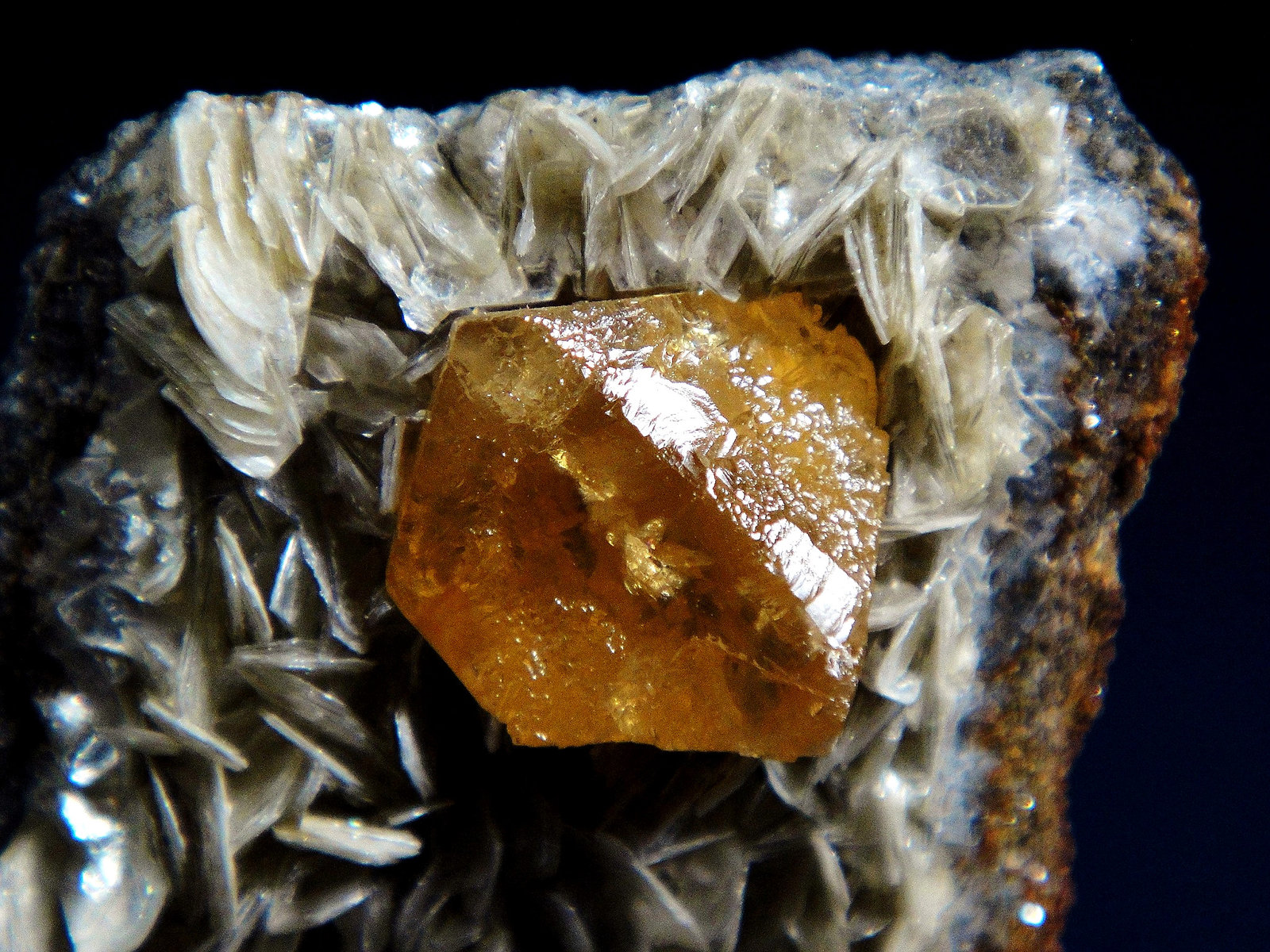 Scheelita en Moscovita
Cristal de 1,5 cm.
(Autor: Antonio P. López)