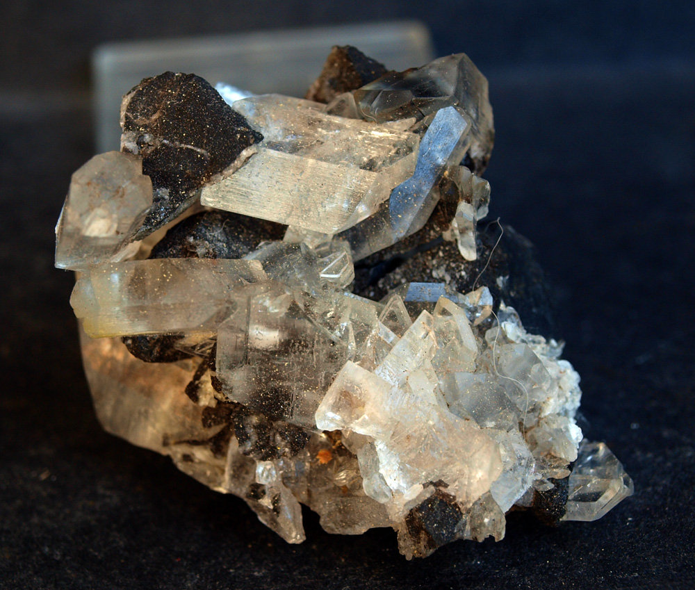 Yeso
5 x 4.5 cm
(Autor: Pedro Antonio)