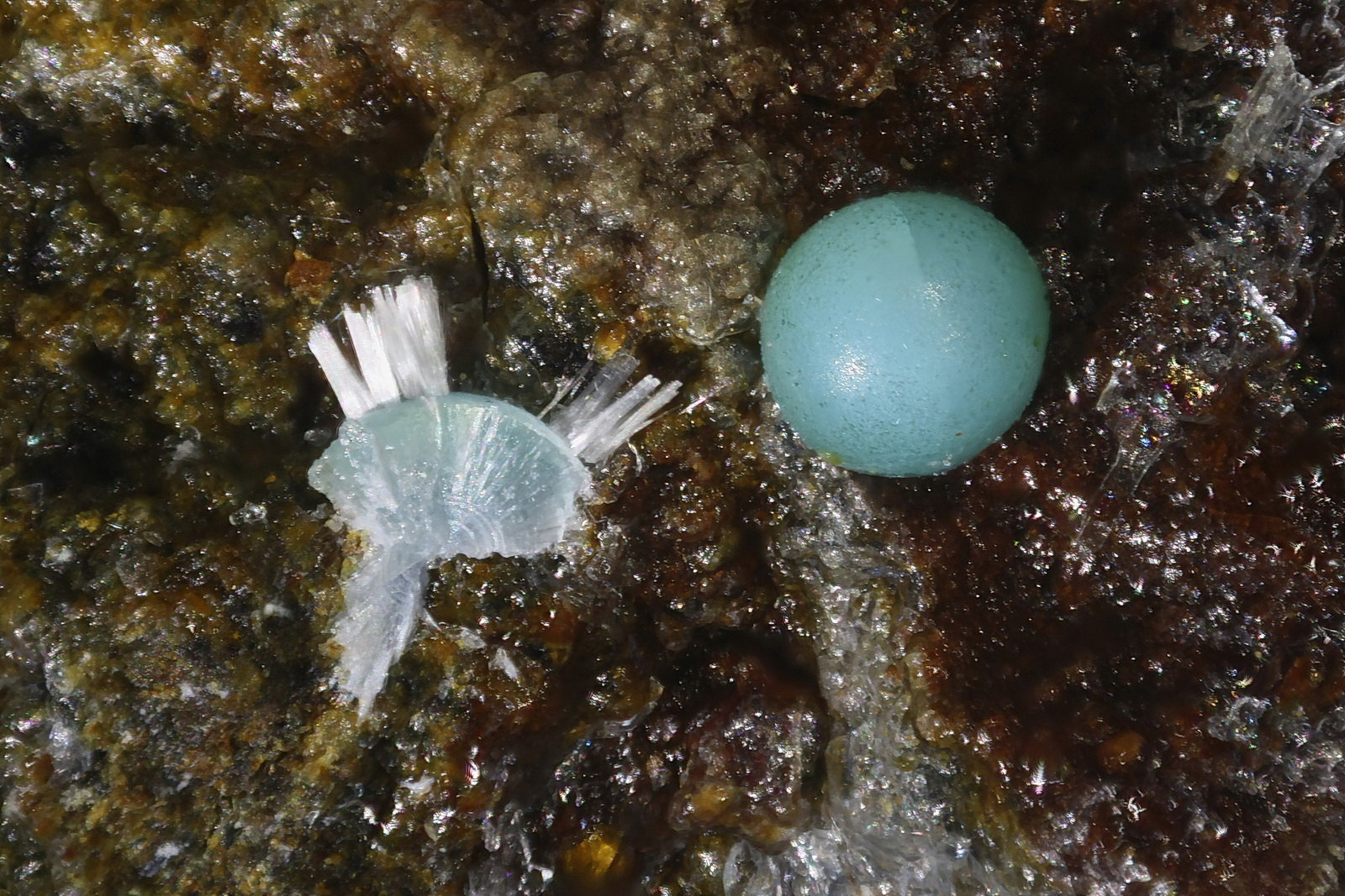 Dundasita
Esfera 1 mm
(Autor: Jorgina-Agusti-Màrius)