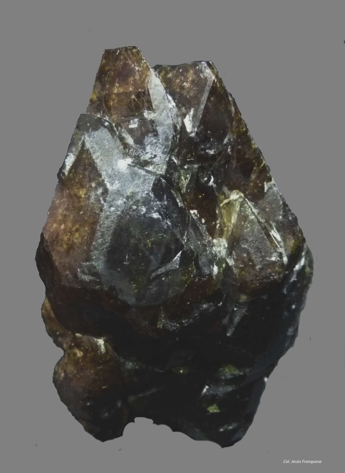 Vesubiana.
70x60 mm.
(Autor: Jesus Franquesa Baucells)
