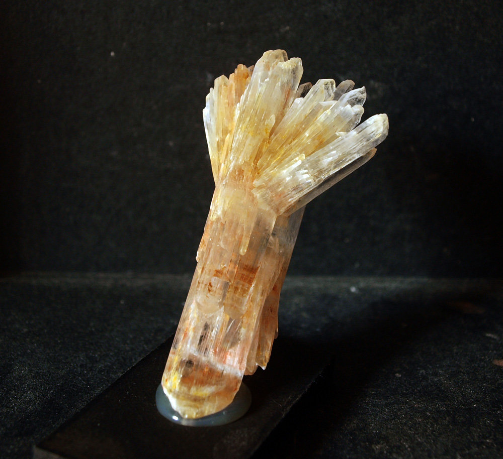 Yeso
8 x 4 cm
(Autor: Pedro Antonio)